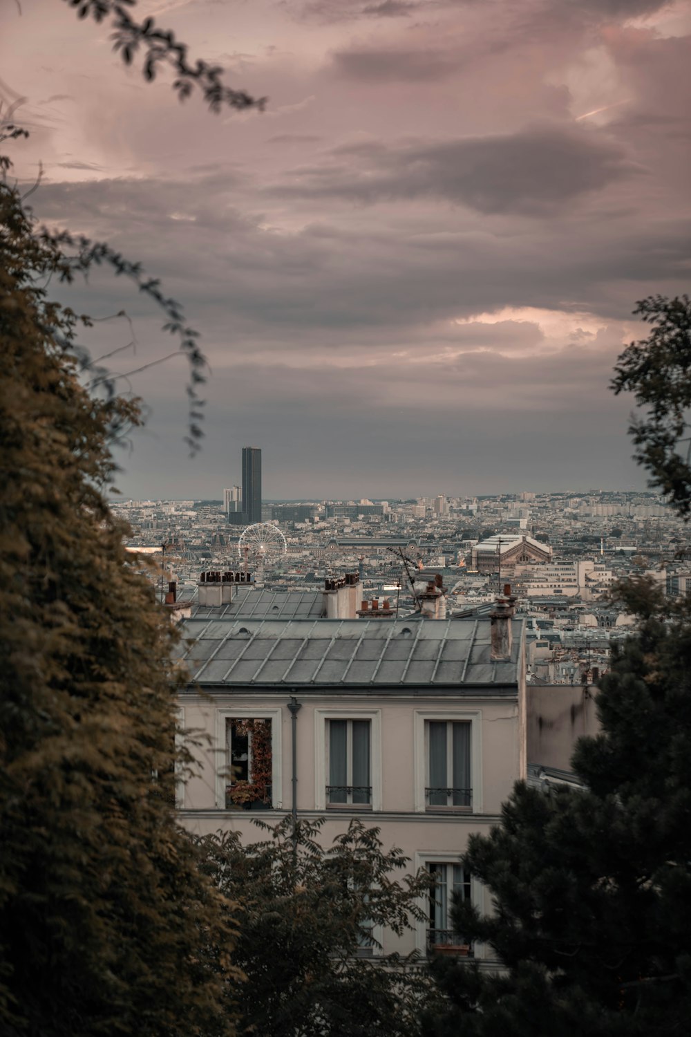 La vista di Parigi dalla cima della Torre Eiffel