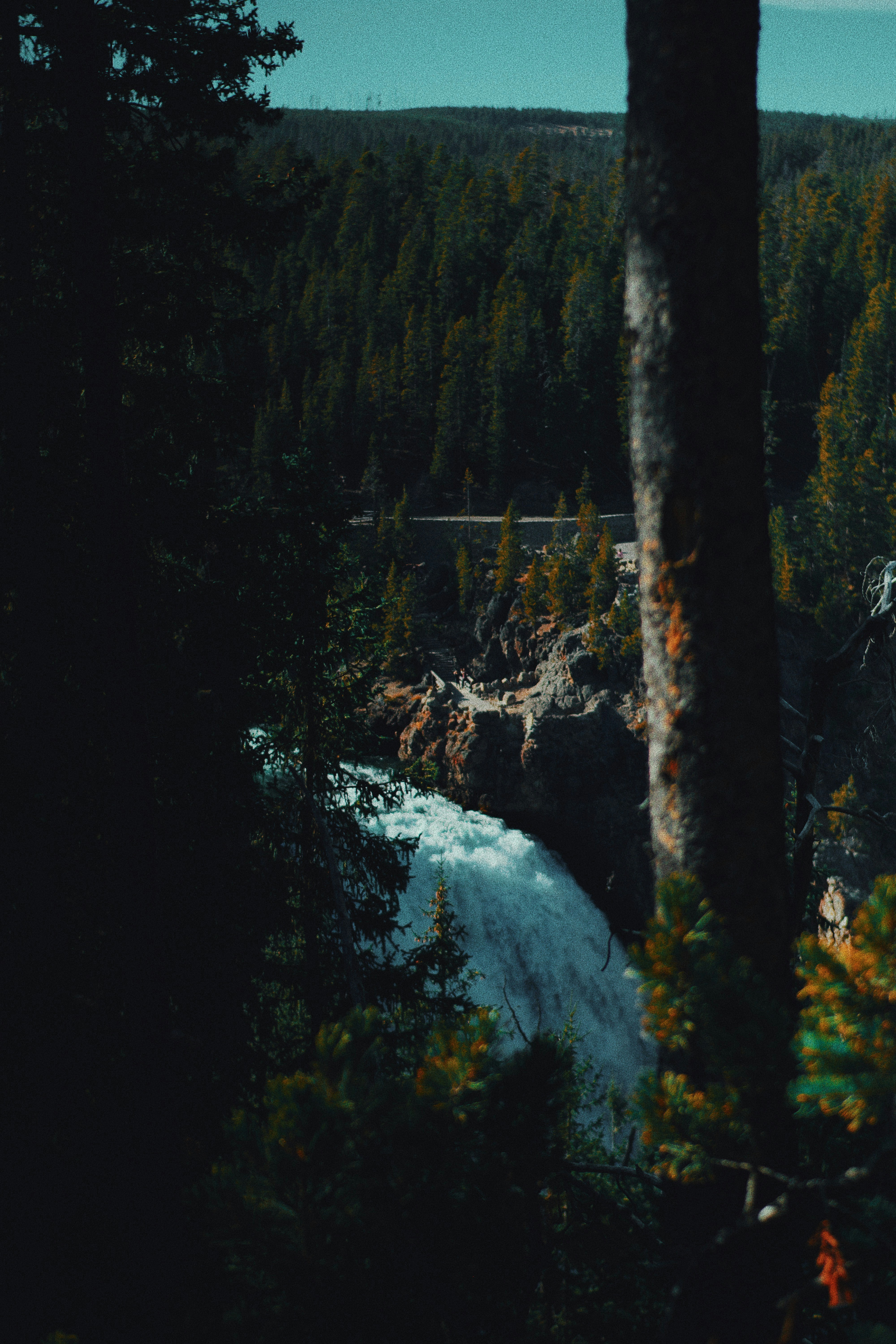 Photo by michaeljfali