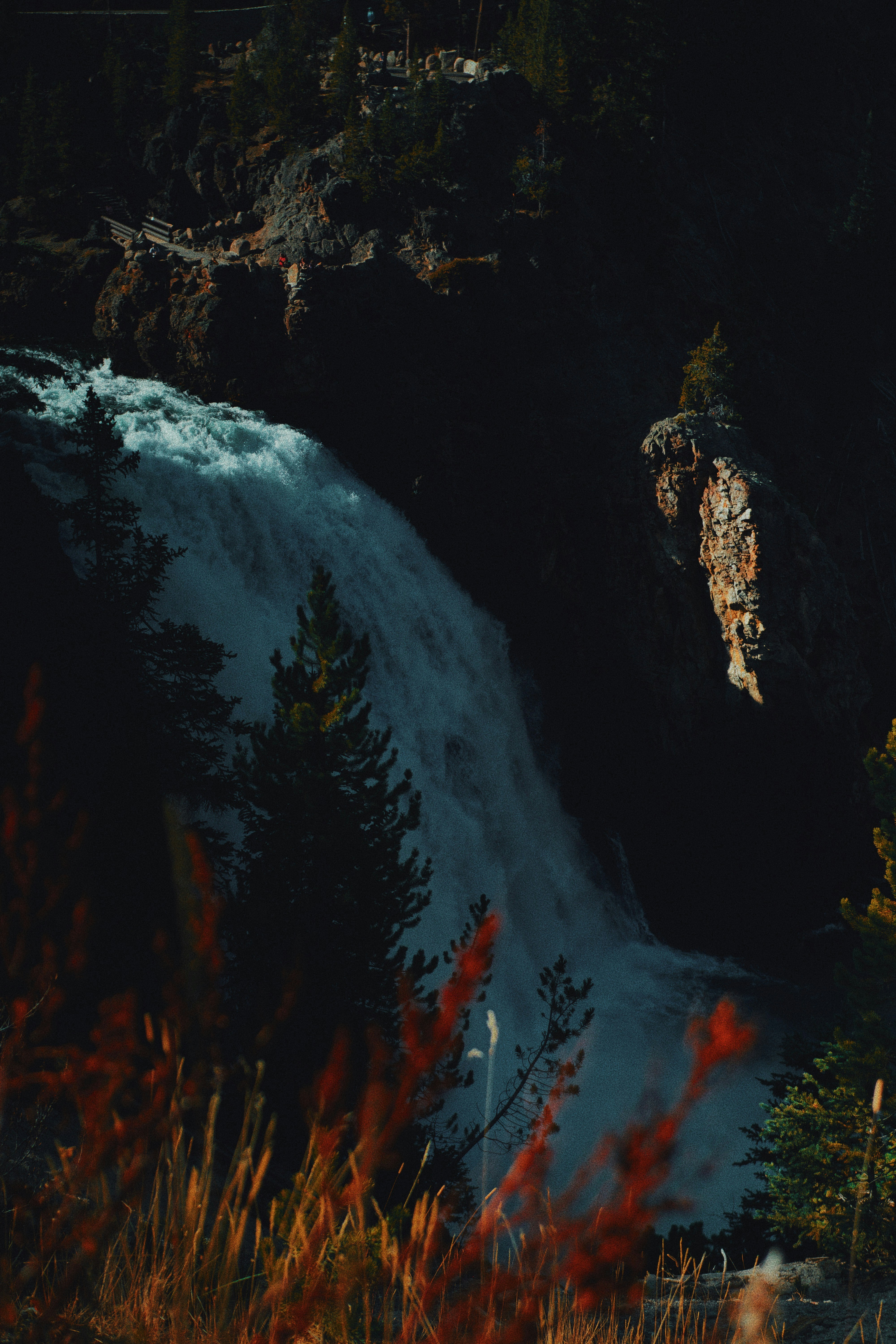 Photo by michaeljfali