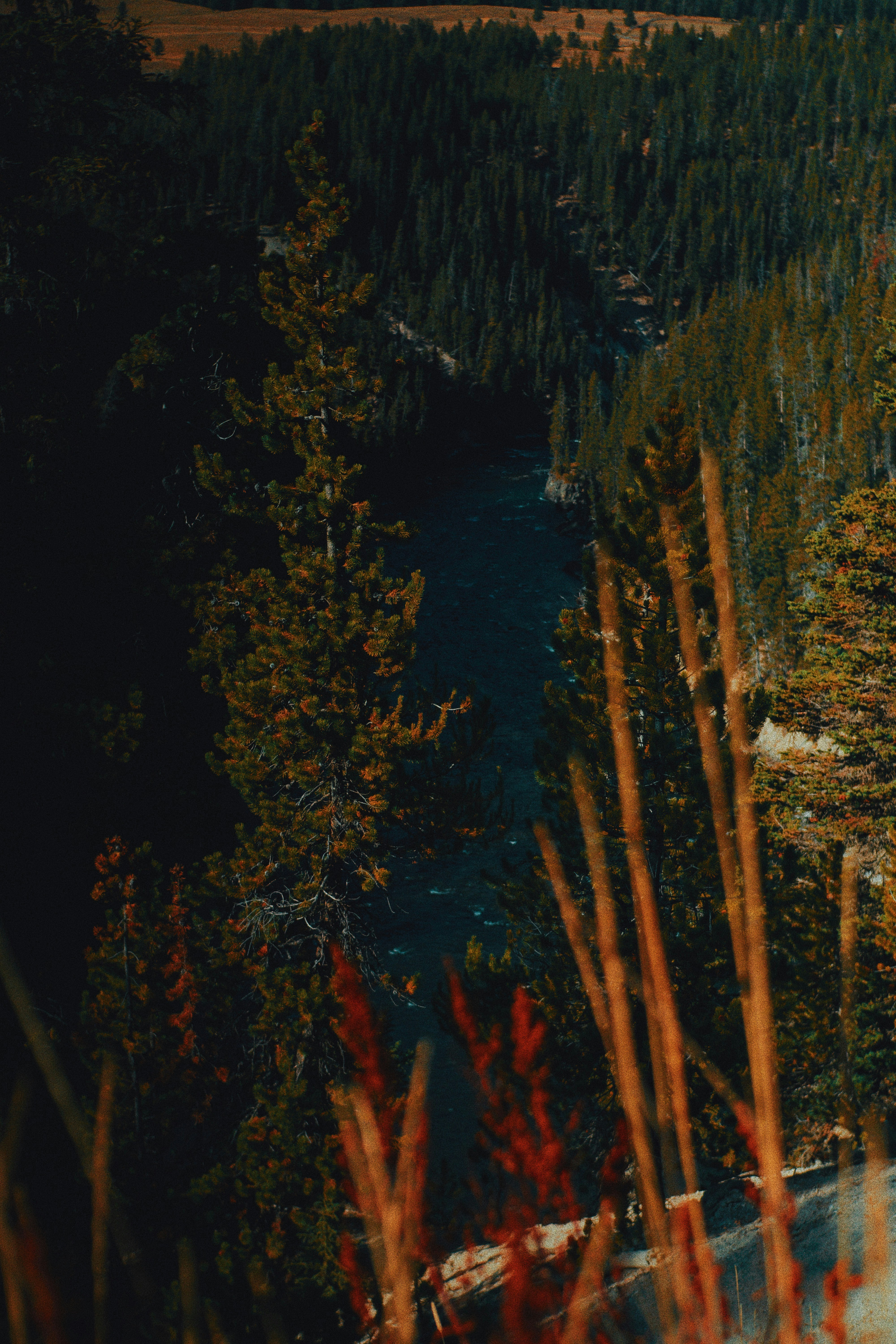 Photo by michaeljfali