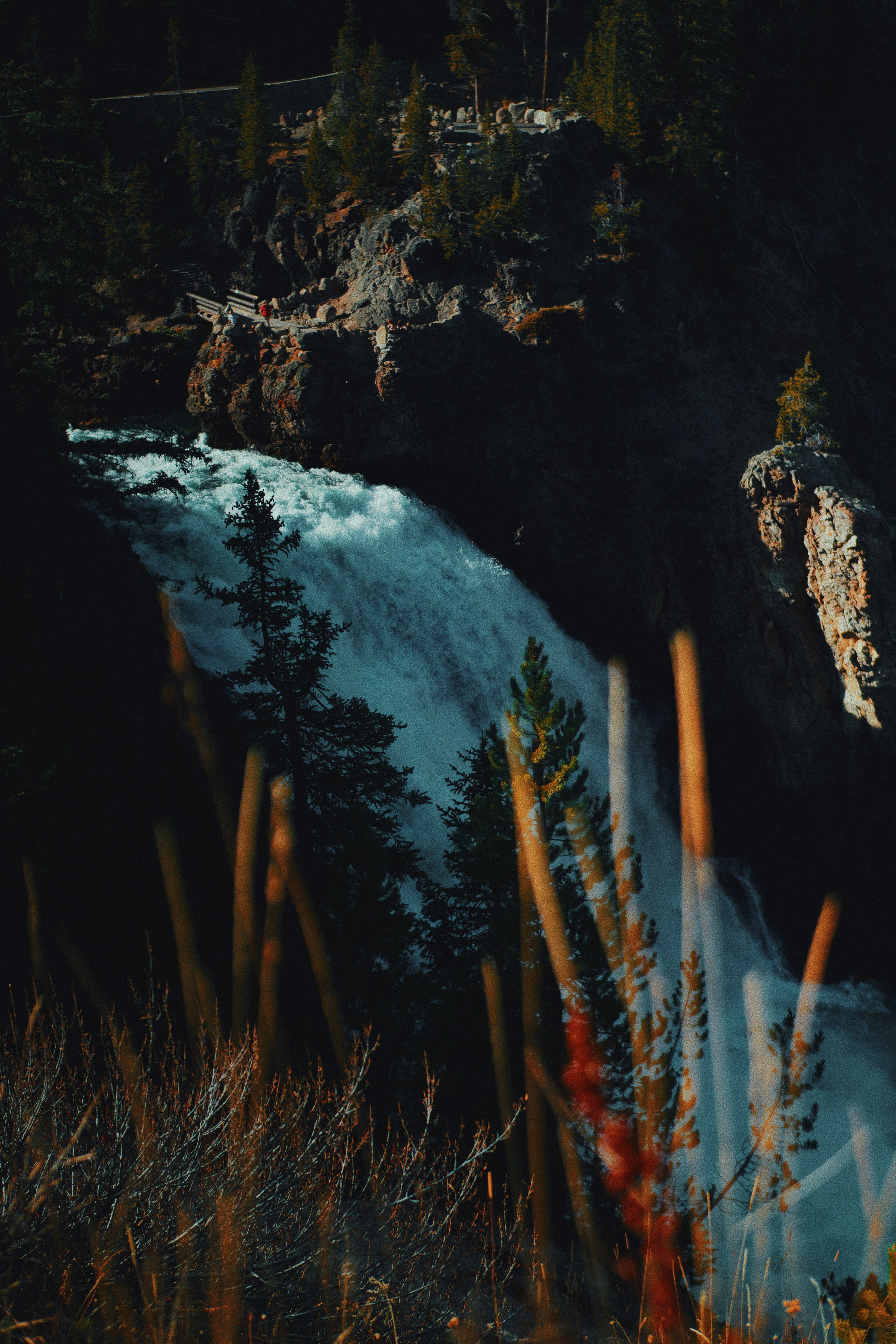 Photo by michaeljfali