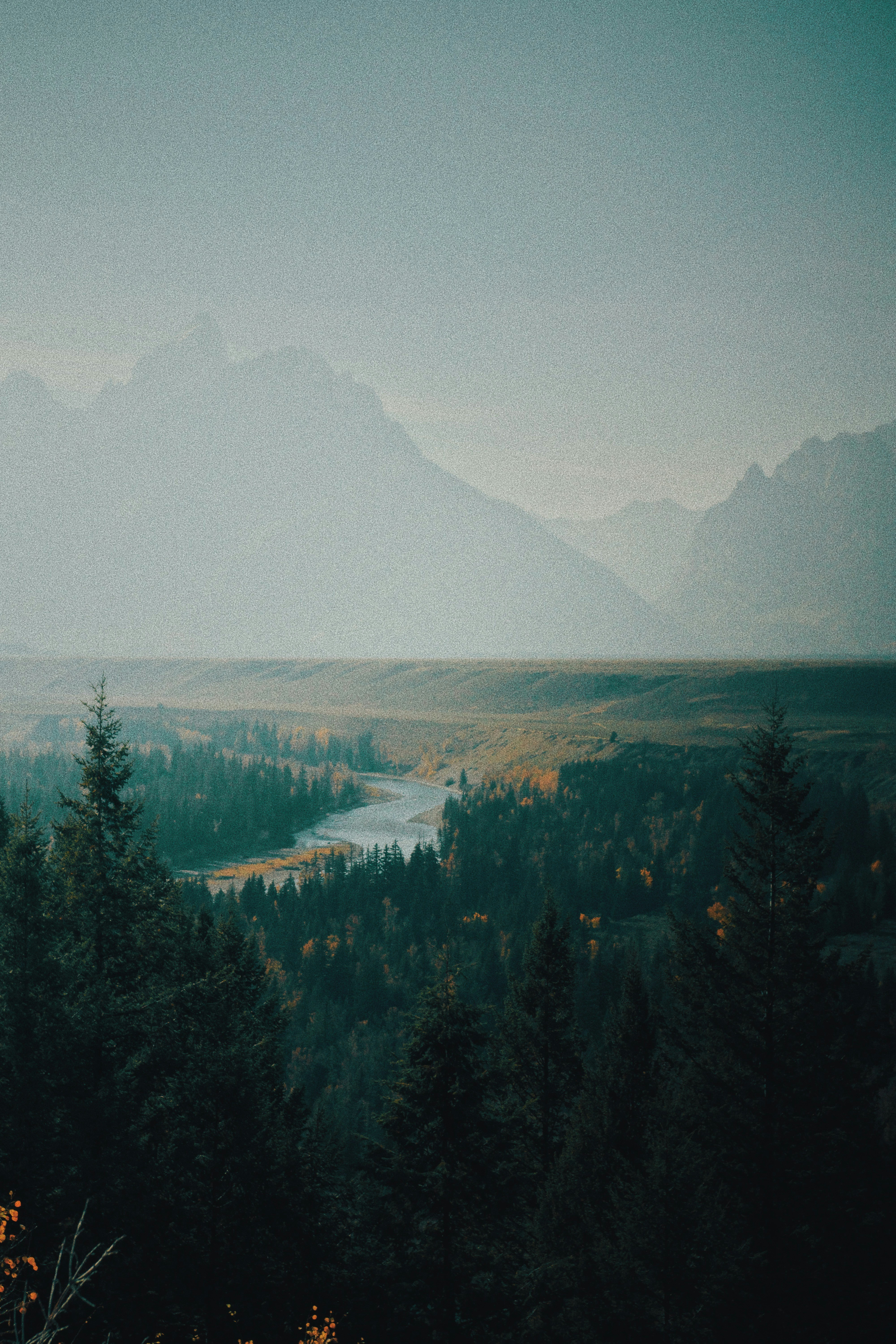 Photo by michaeljfali