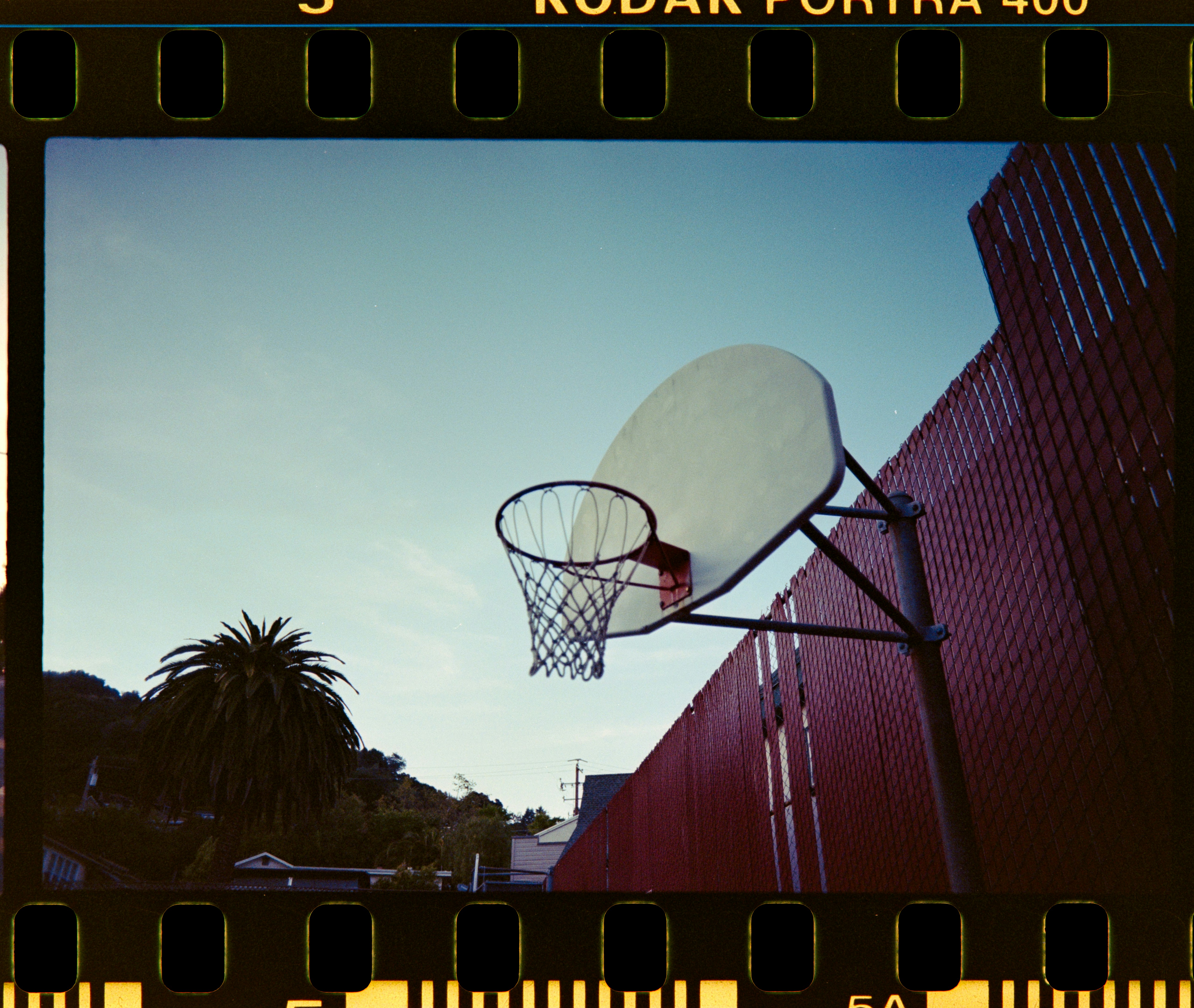 a picture of a basketball going through a hoop
