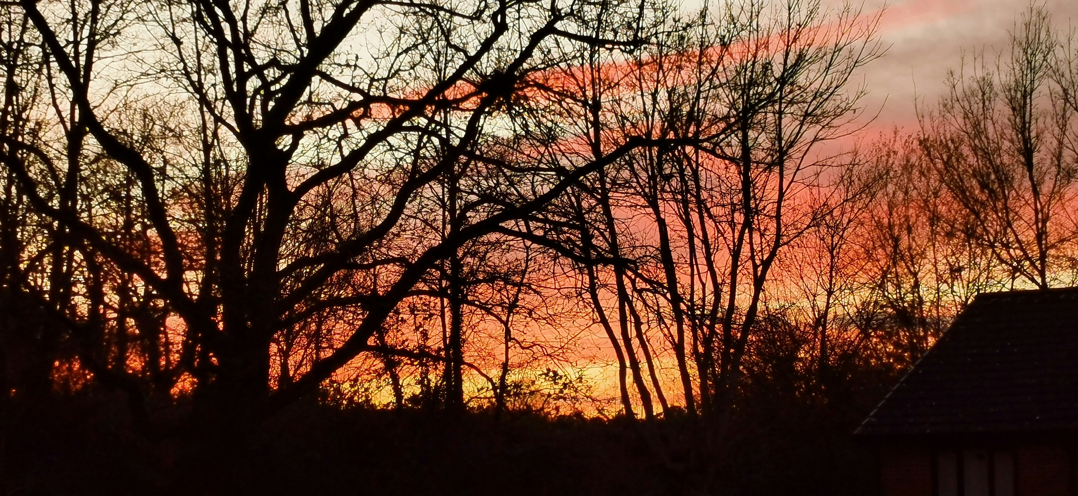 Photo by normanexeternew