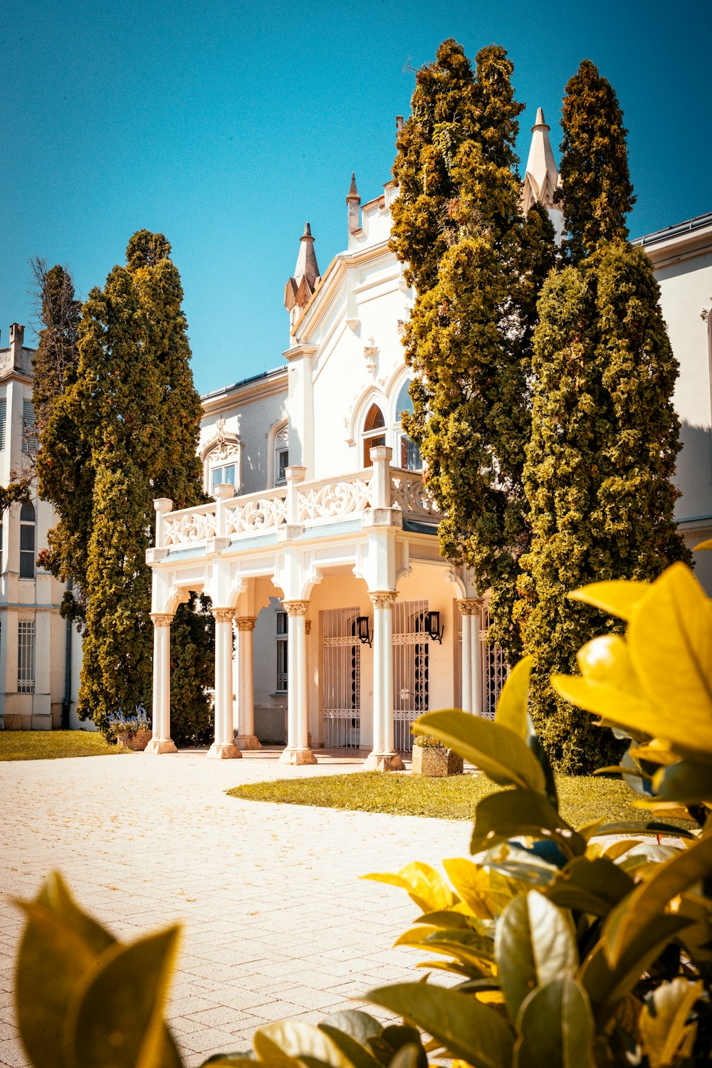 a large white building with a lot of trees in front of it