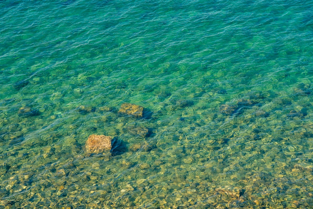 a body of water that has some rocks in it