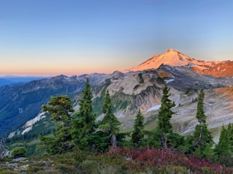 a view of a mountain with trees in the foreground