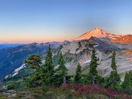 a view of a mountain with trees in the foreground