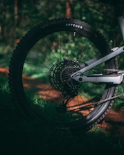 Close-up of hands tuning a mountain bike’s gears on a forest trail with dappled sunlight.