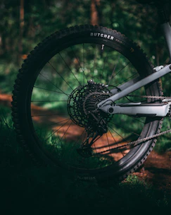 Close-up of hands tuning a mountain bike’s gears on a forest trail with dappled sunlight.