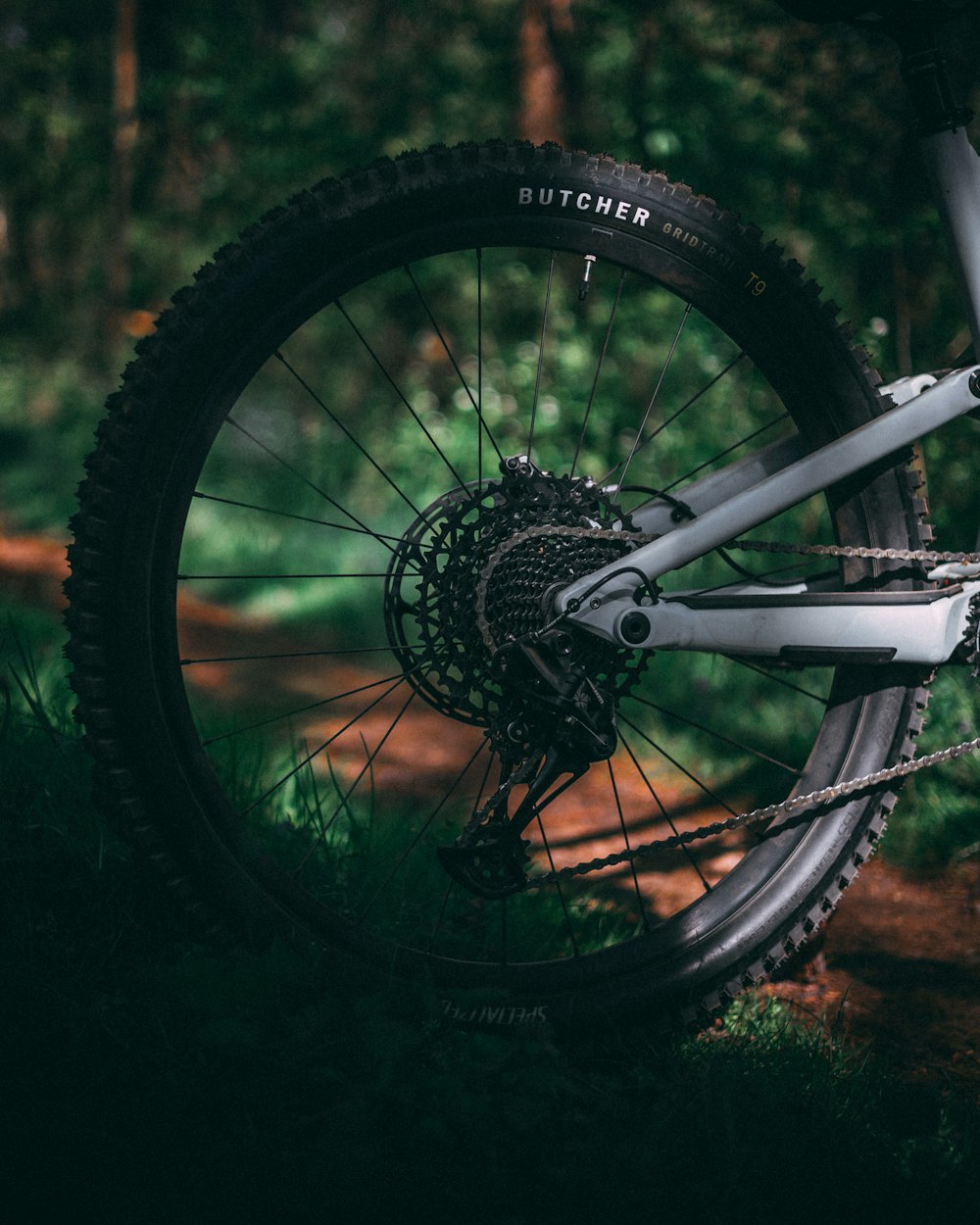 a close up of a bike tire on a trail