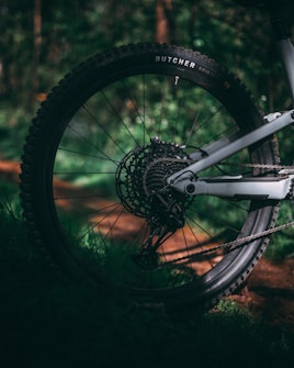 A close-up view of a bicycle wheel with a detailed focus on its gears and chain. The bike is positioned on a forest path, surrounded by lush, green foliage. Sunlight filters through the trees, casting dappled shadows on the ground and creating a serene, natural setting.