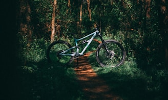 a bike parked on the side of a dirt road