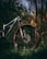 A mountain bike is parked in a forested area surrounded by trees and grass. The bike's front wheel and suspension fork are prominently visible. The environment appears lush with green foliage and soft sunlight filtering through the trees.