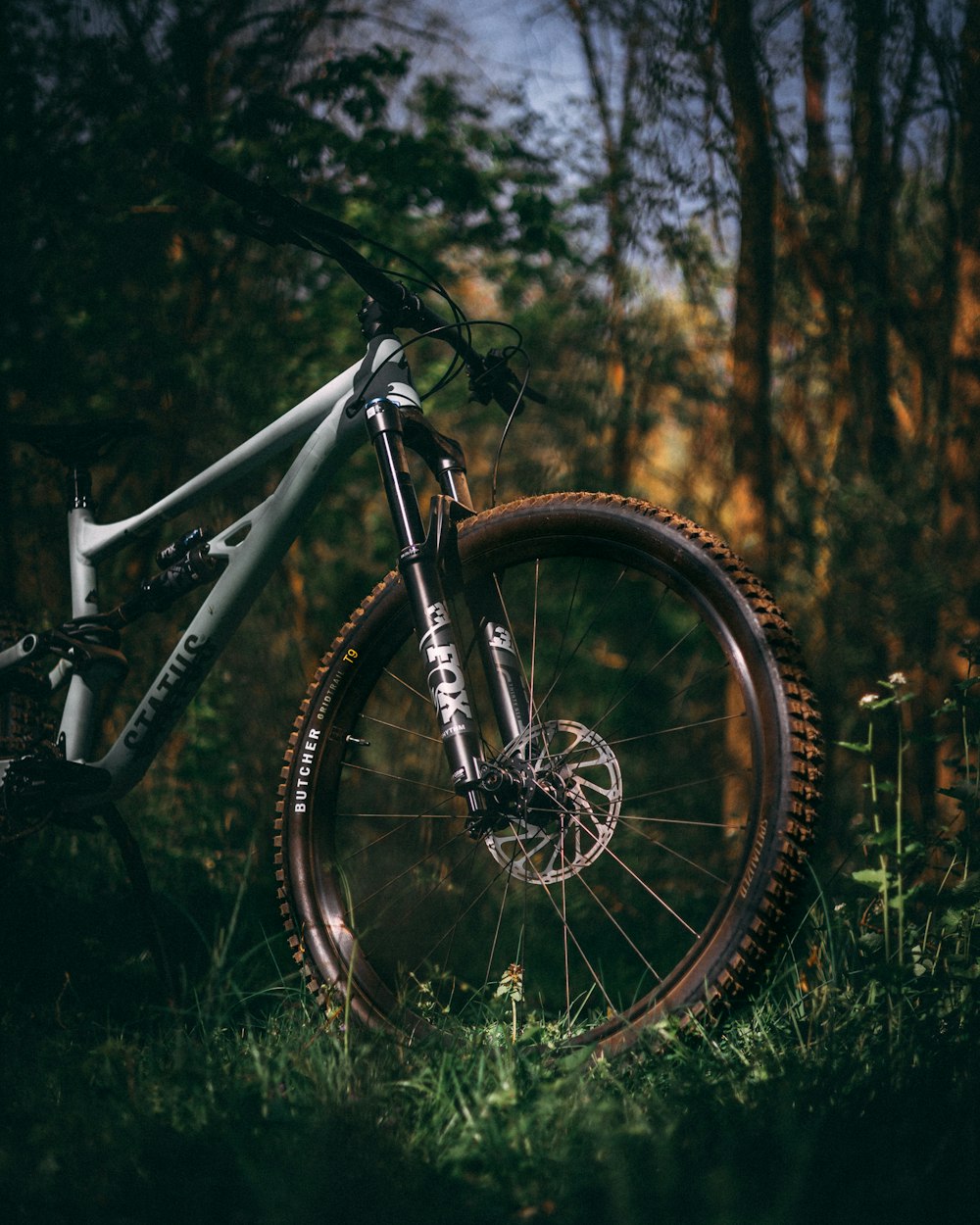 a bike parked in the grass in the woods