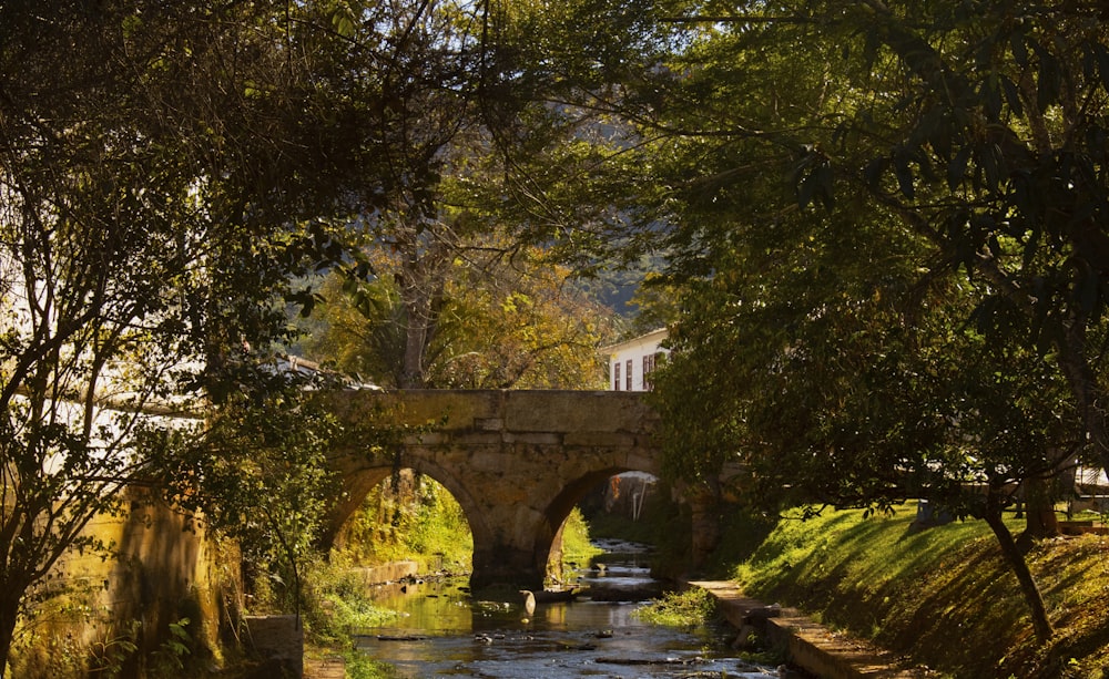 Un puente de piedra sobre un río rodeado de árboles