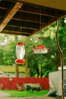 An assortment of bird feeders and accessories hanging in a garden
