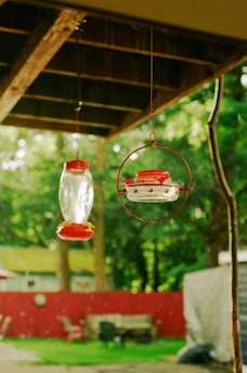 An assortment of bird feeders and accessories hanging in a garden