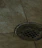 A metal drain cover is set into a tiled floor, with water droplets scattered around. The tiles are a beige color, and the drain has a grid-like pattern.