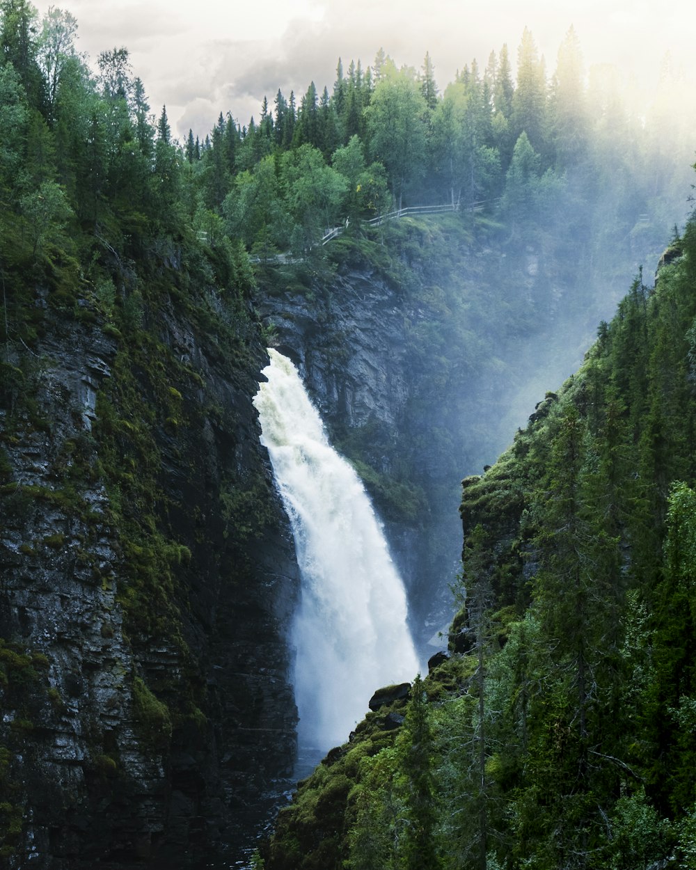 a waterfall in the middle of a forest