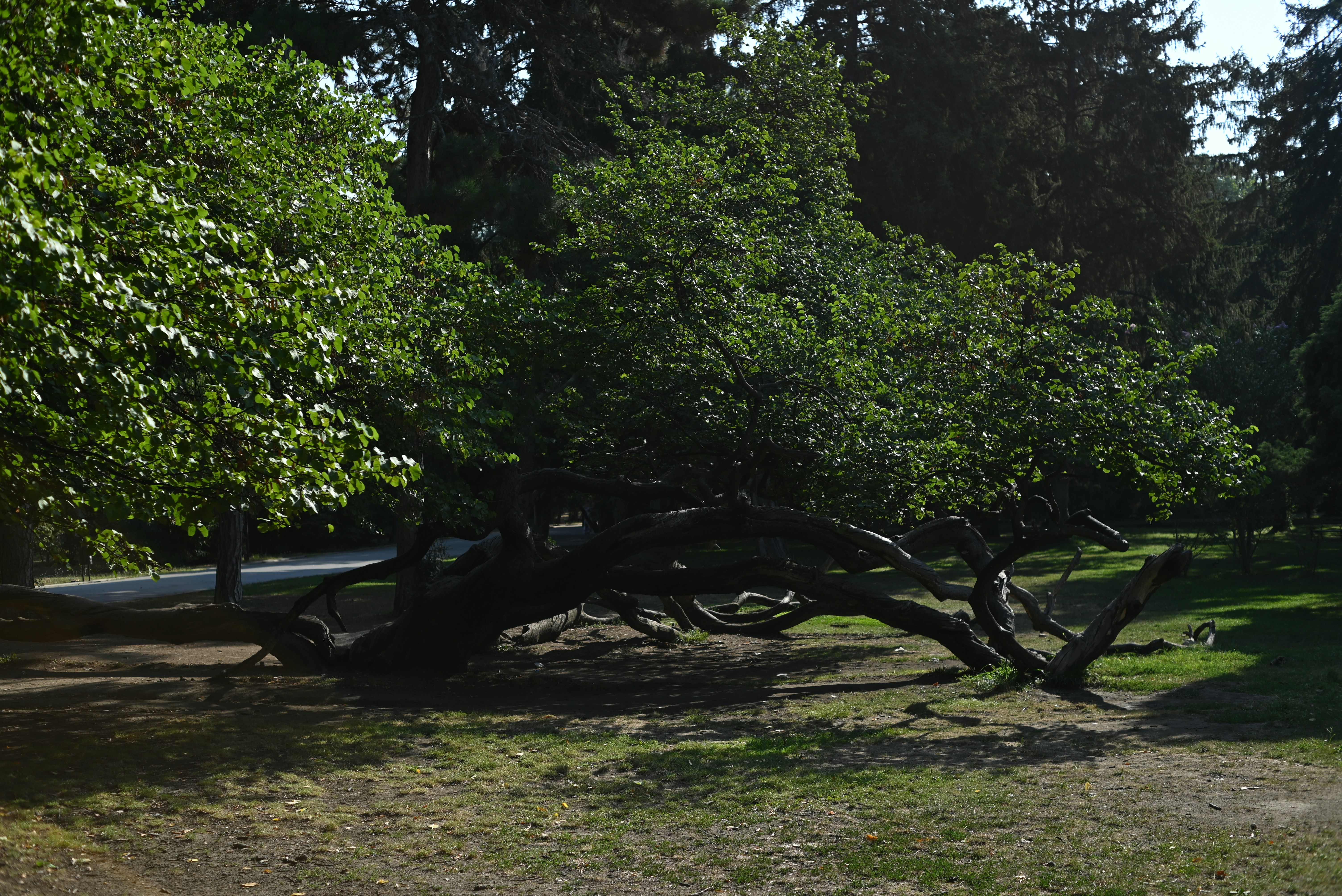 Photo by imagedealer