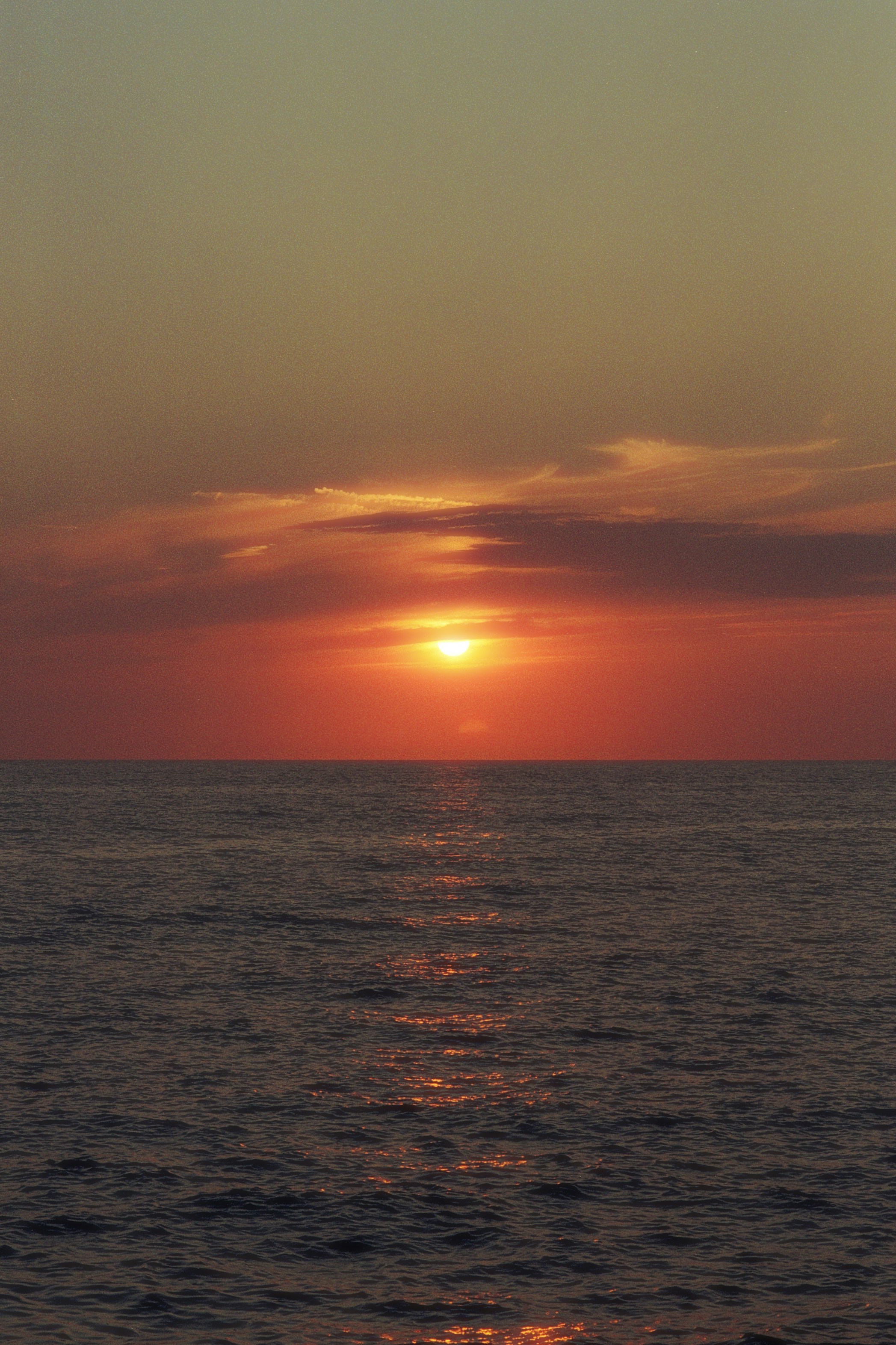 Photo by artistseyes