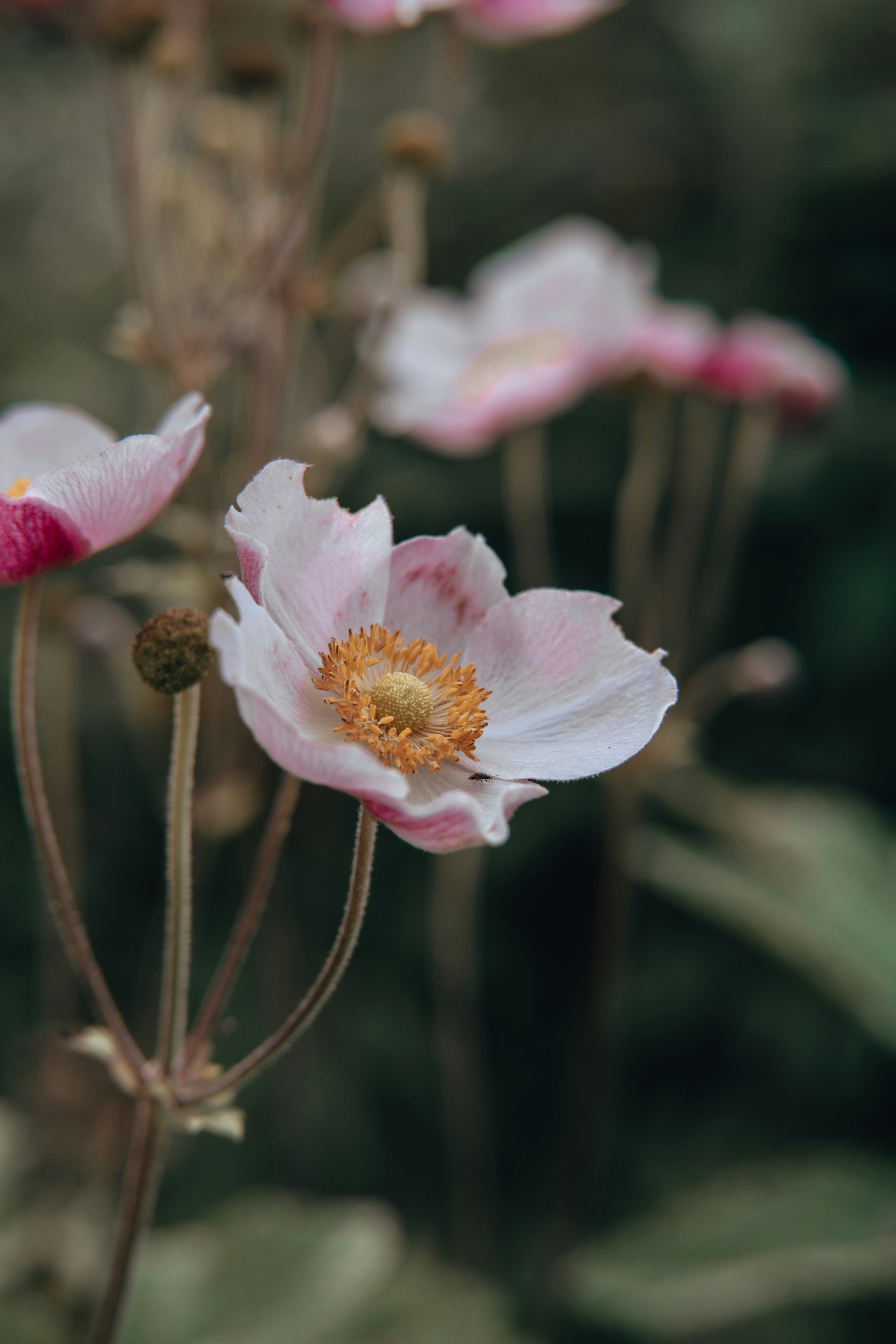 Photo by anamnesis33