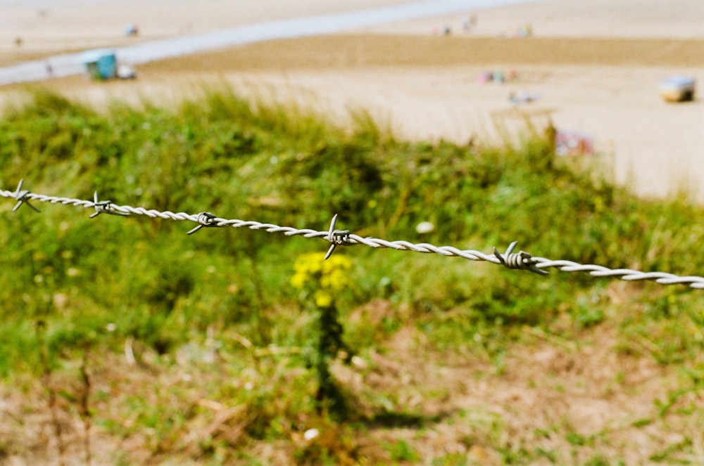 a close up of a barbed wire with a beach in the background