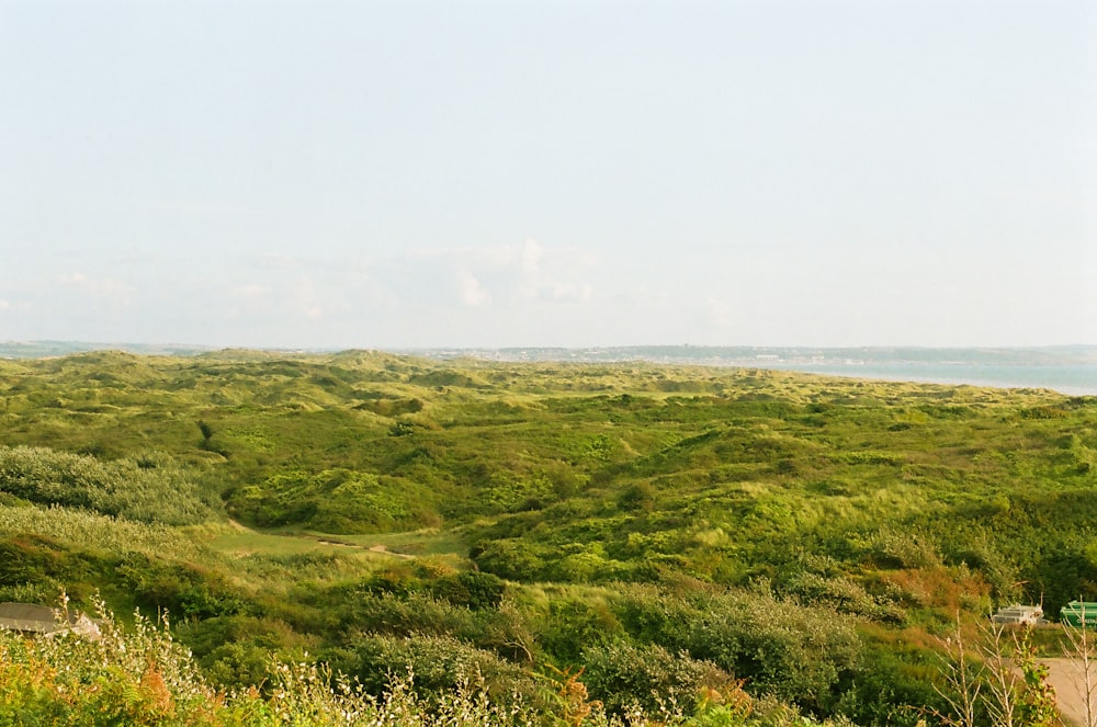 a view of a grassy area with a bench in the foreground