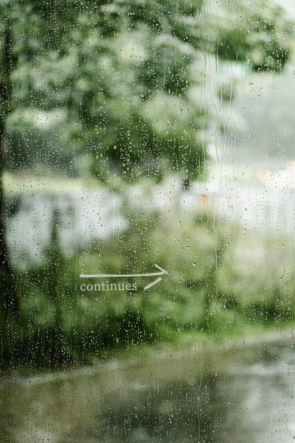 a window with a view of a street and trees