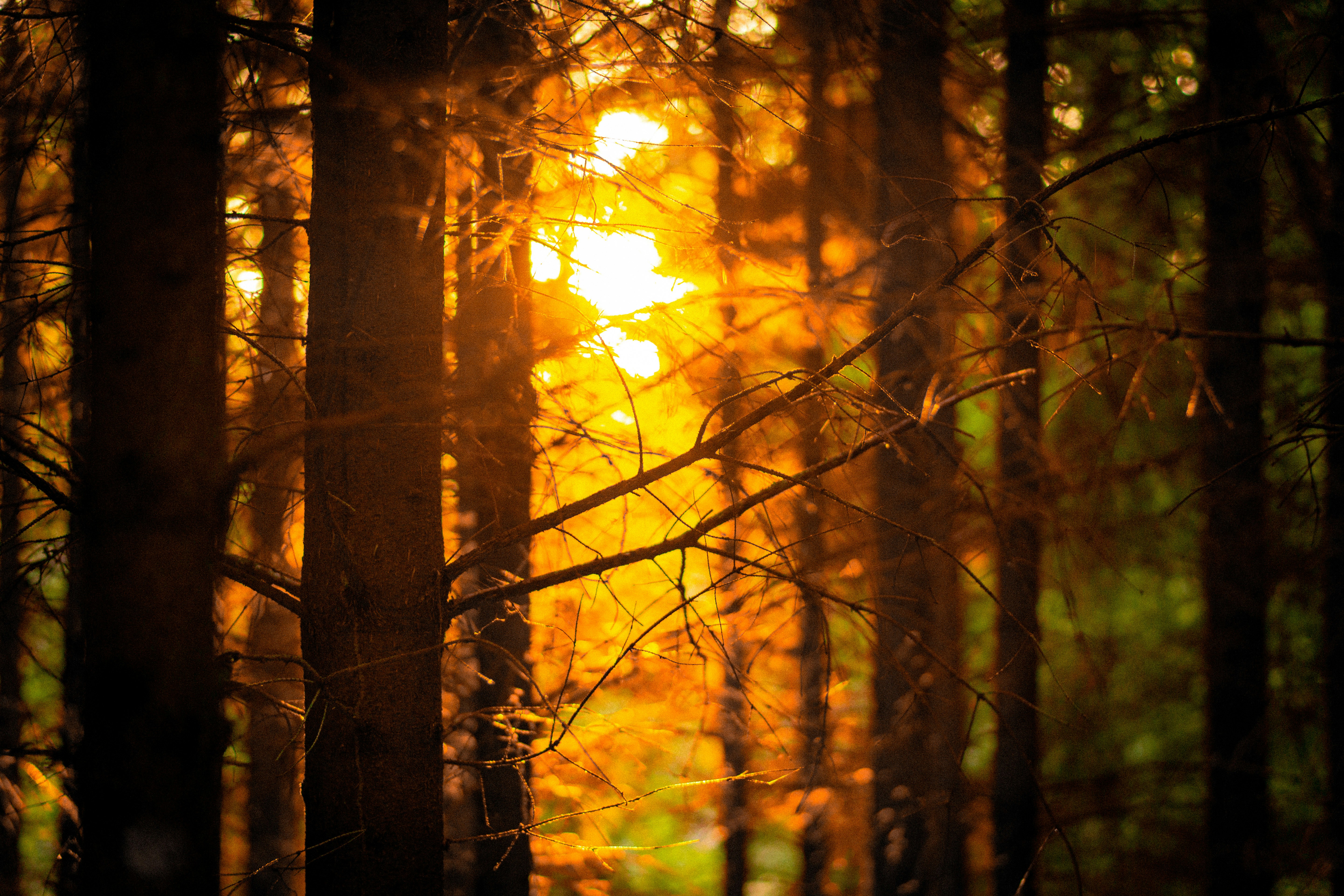 Photo by 3467634mikolaj