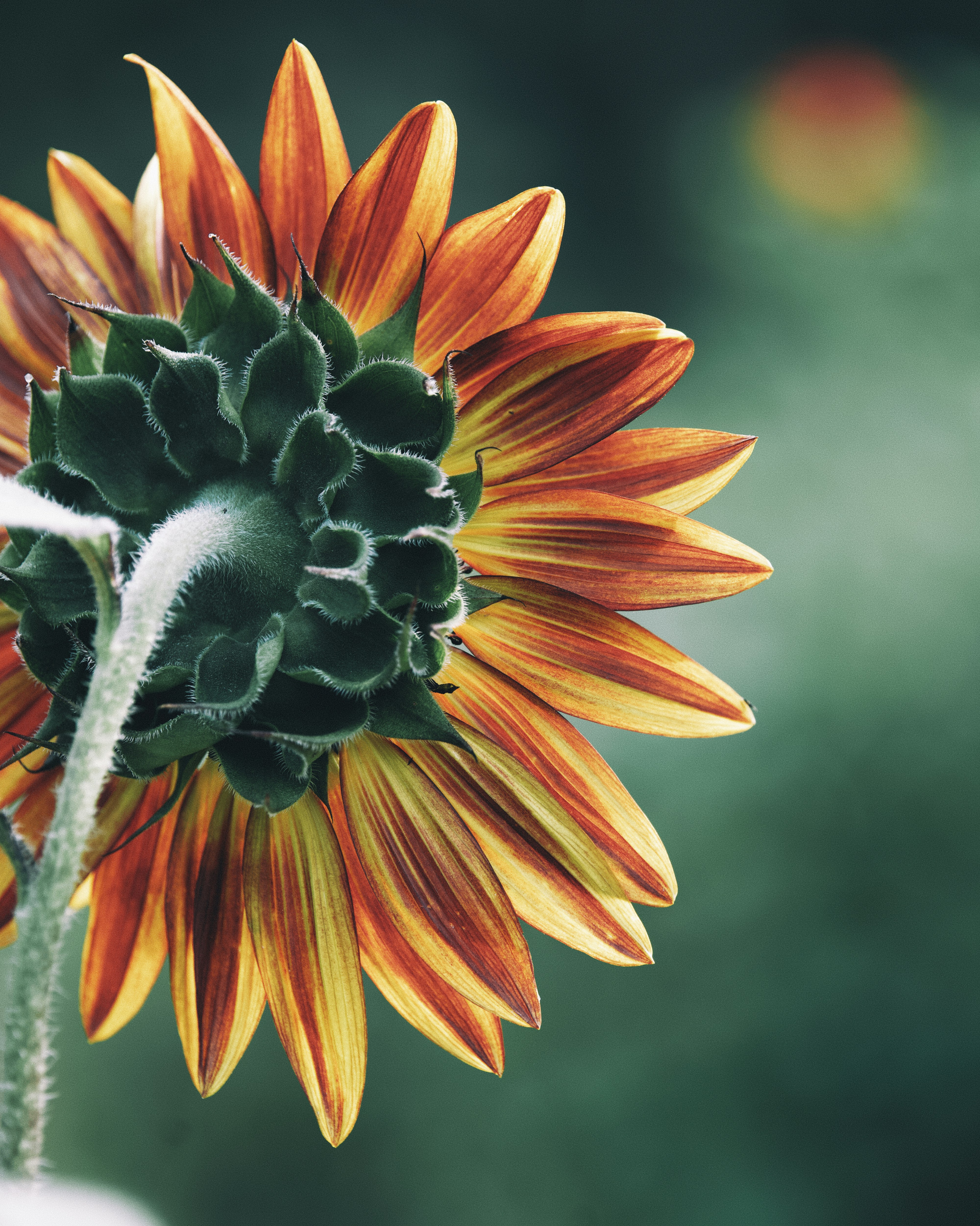 Photo by aaronburden