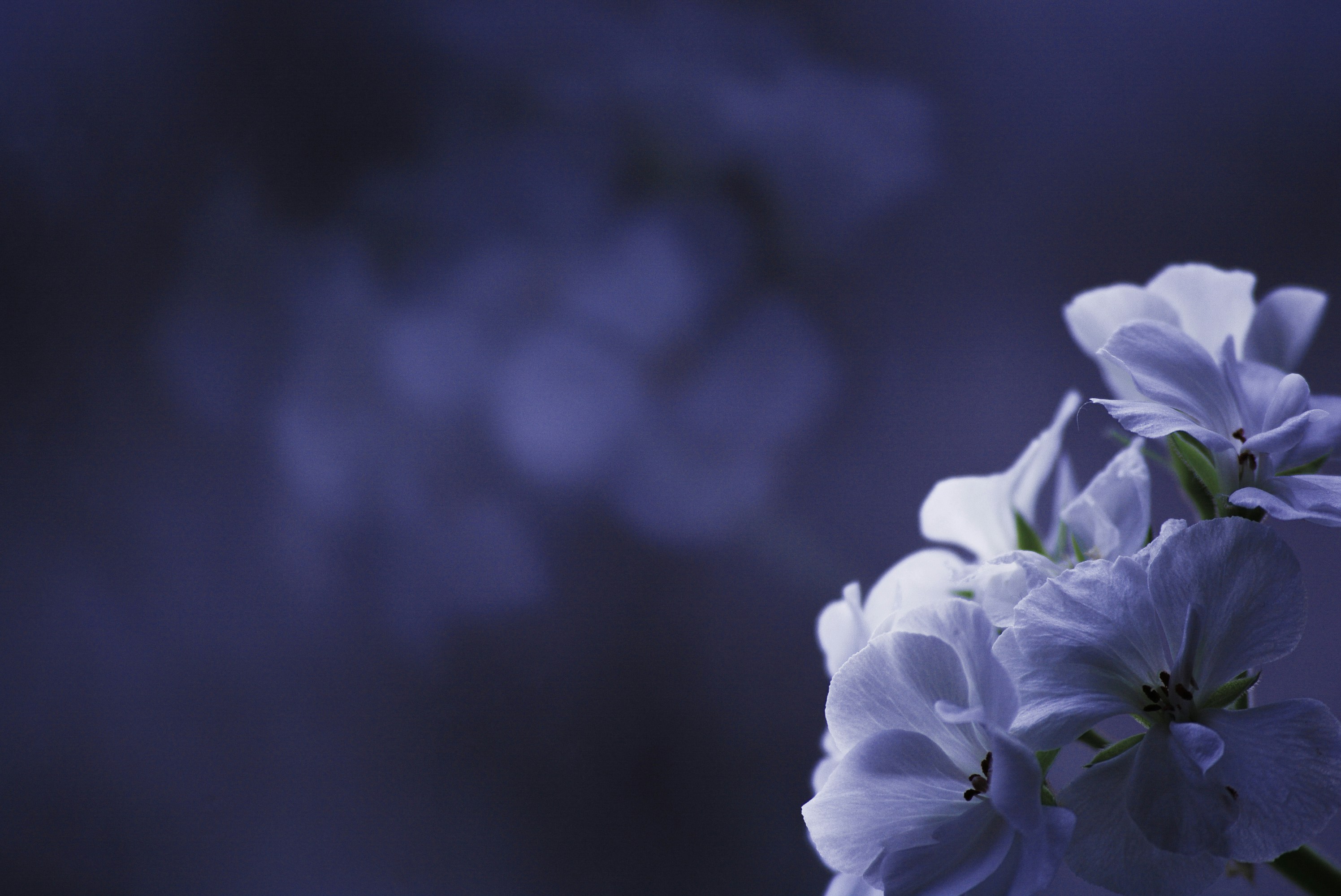 Photo by oblacko_oorta