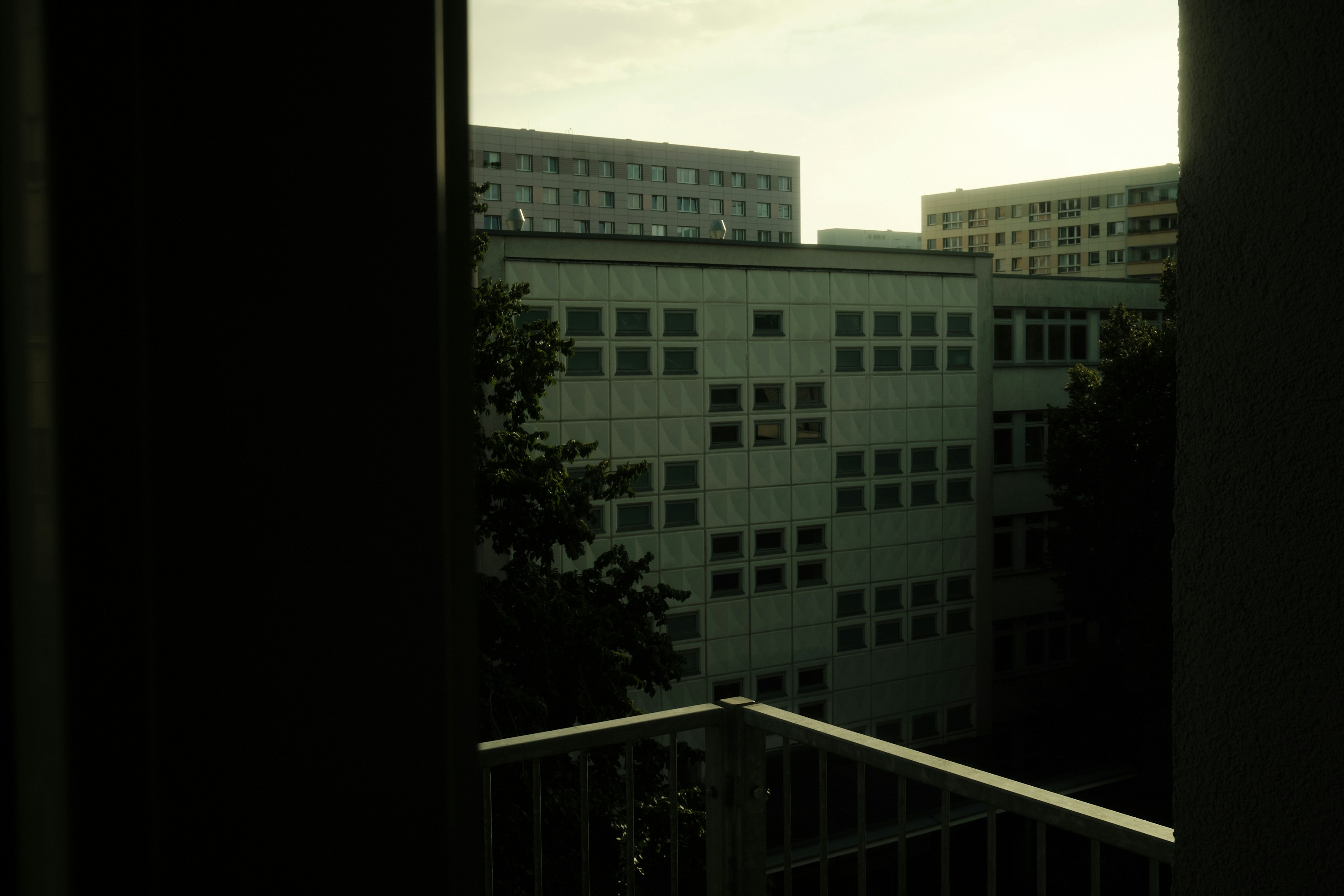 Photo by alanalves