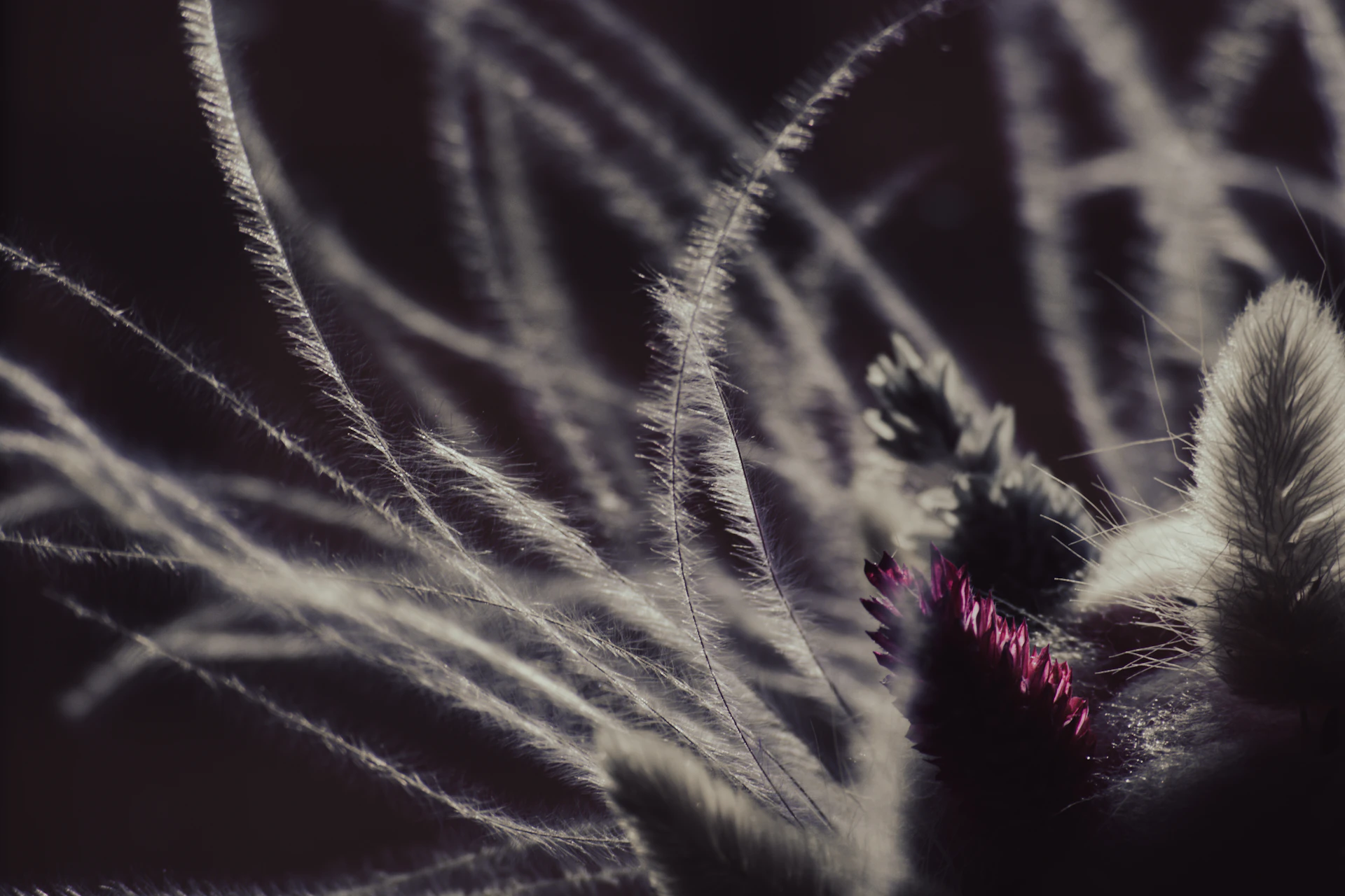 woman wearing yellow long-sleeved dress under white clouds and blue sky during daytime