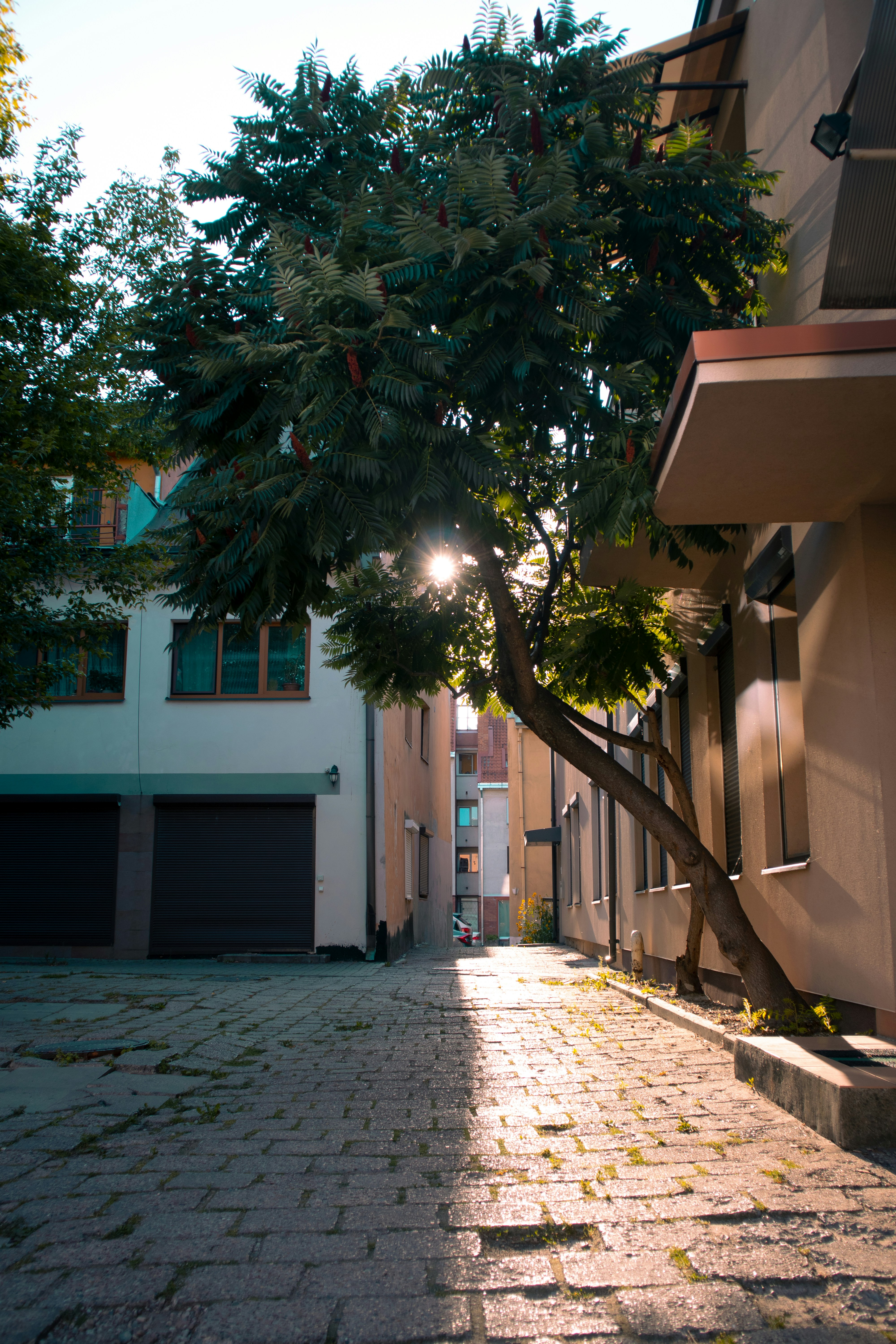 Photo by rokasvstheworld