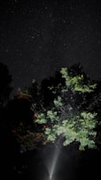 Starlink satellite constellation glowing in the night sky over a forest.