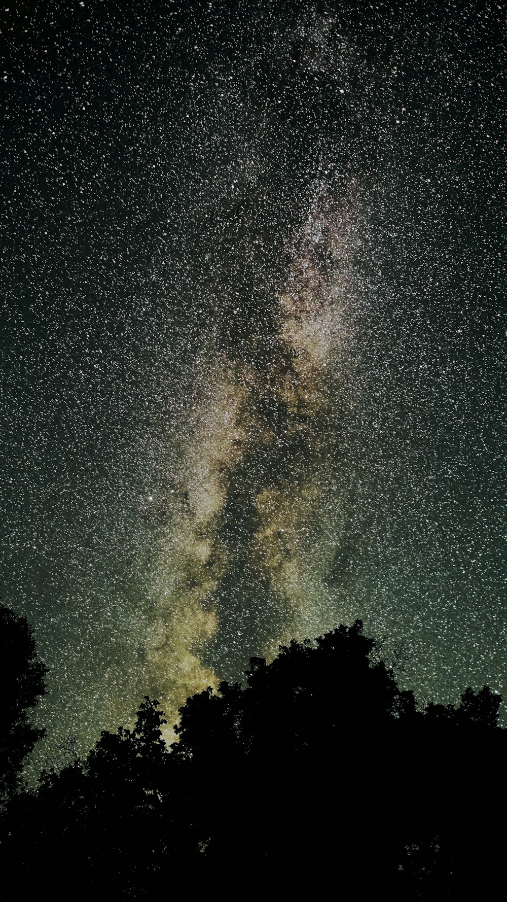 the night sky is filled with stars and trees