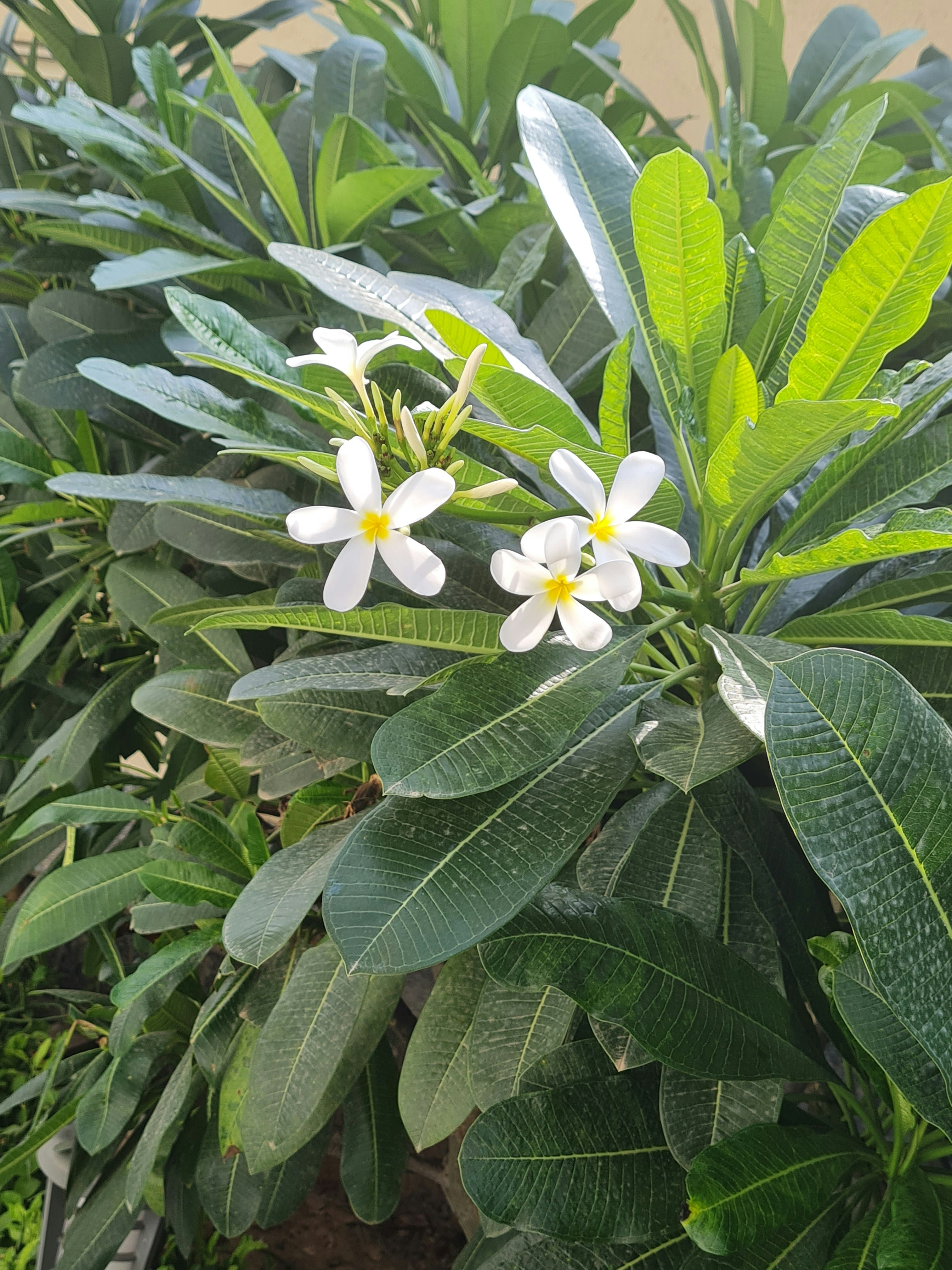 Photo by khawab_dekho