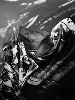 A dog is cozily wrapped in a patterned blanket, appearing to be resting peacefully. The blanket has intricate designs with contrasting shades. The image is in black and white, enhancing the textures of the fur and fabric.