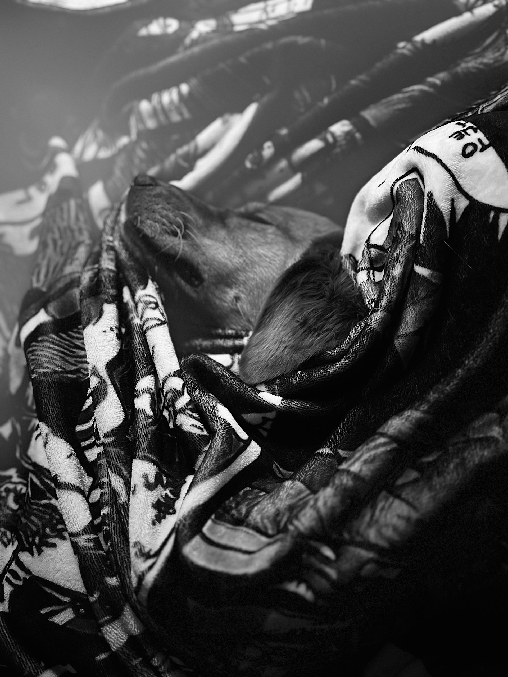 woman wearing yellow long-sleeved dress under white clouds and blue sky during daytime