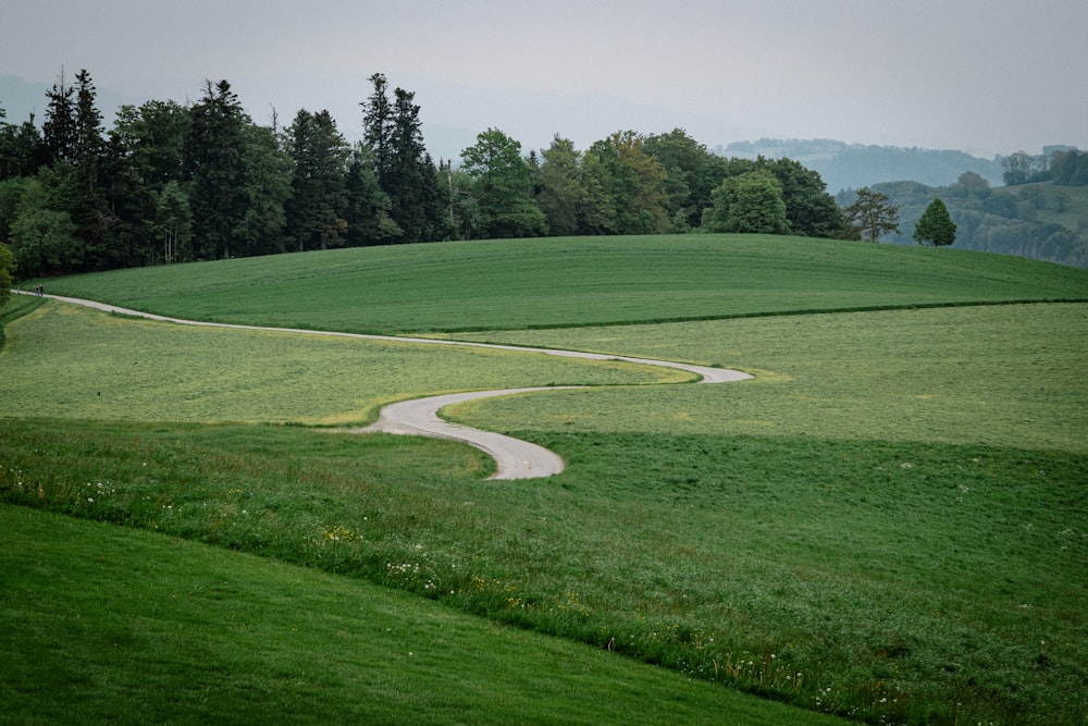 a winding road in the middle of a lush green field