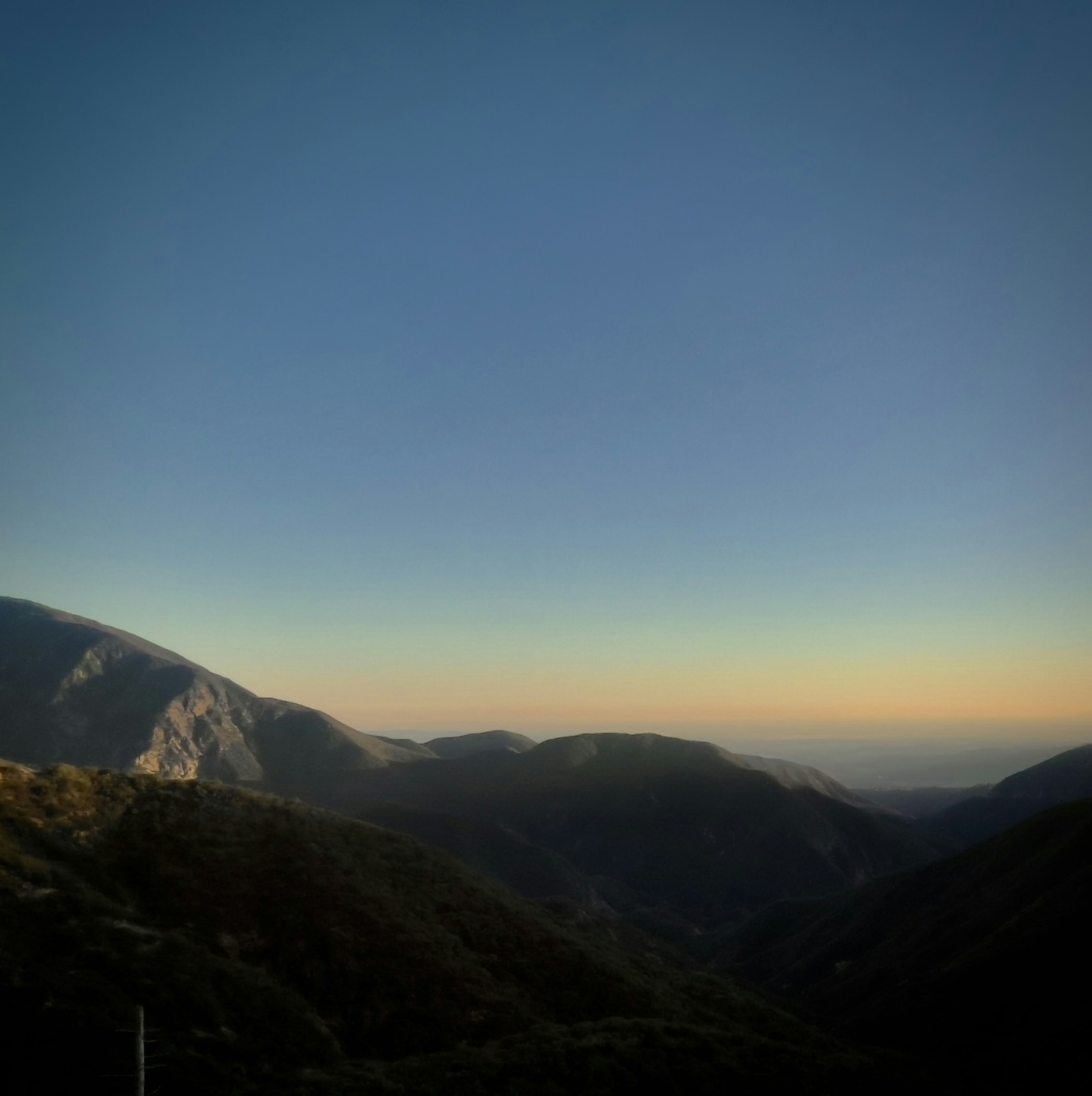 Photo by justinaudia