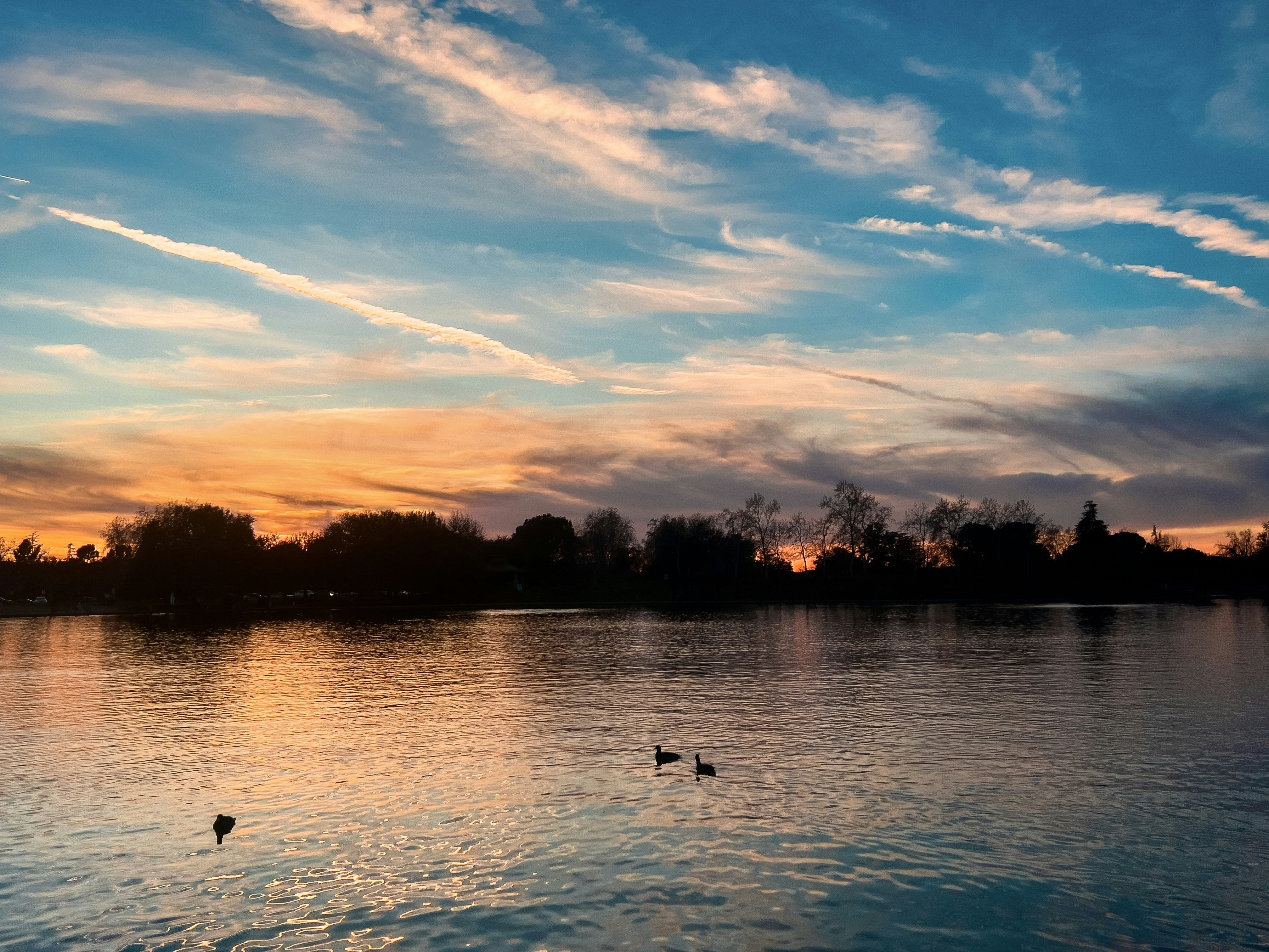 Photo by justinaudia