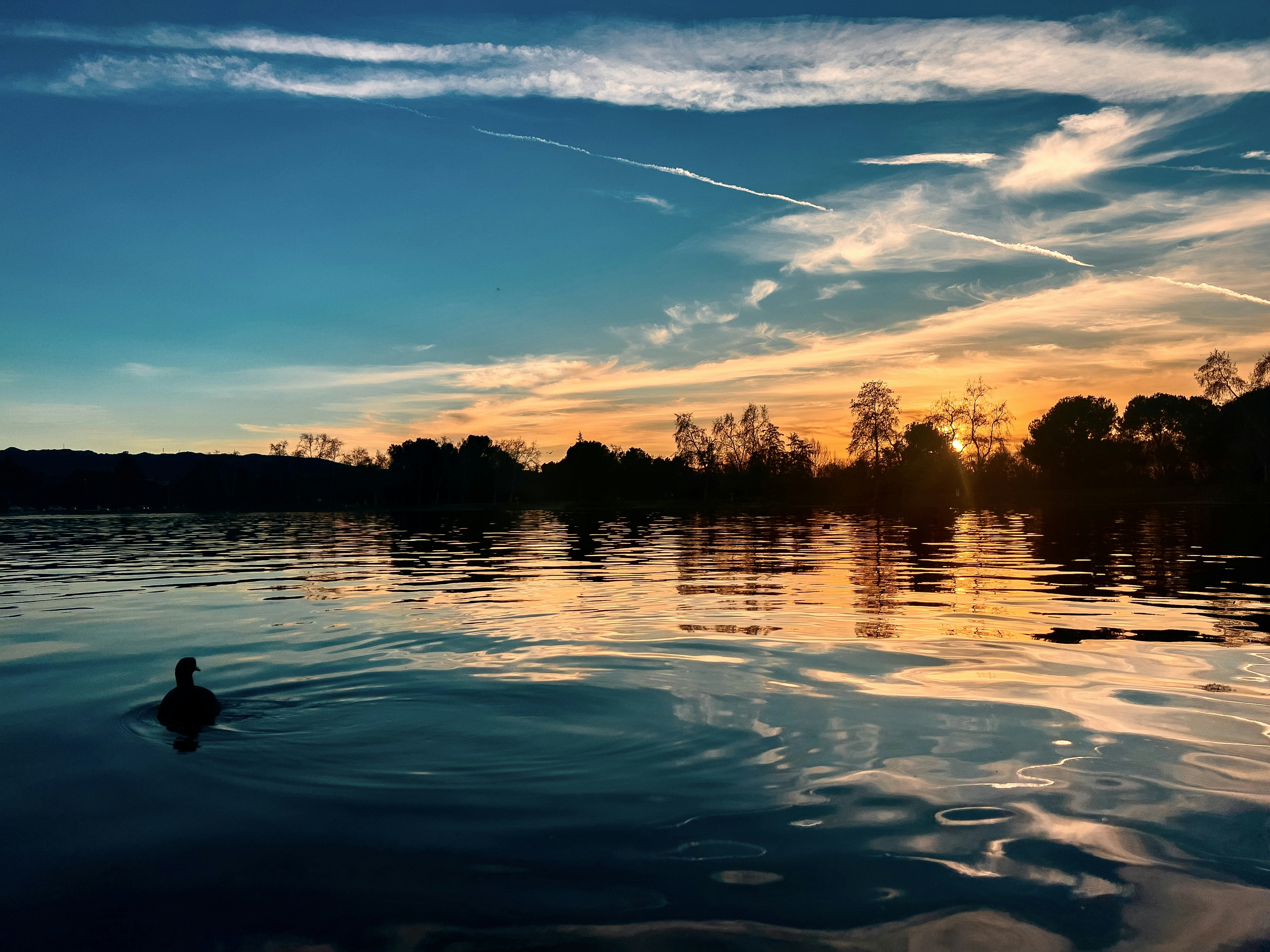 Photo by justinaudia