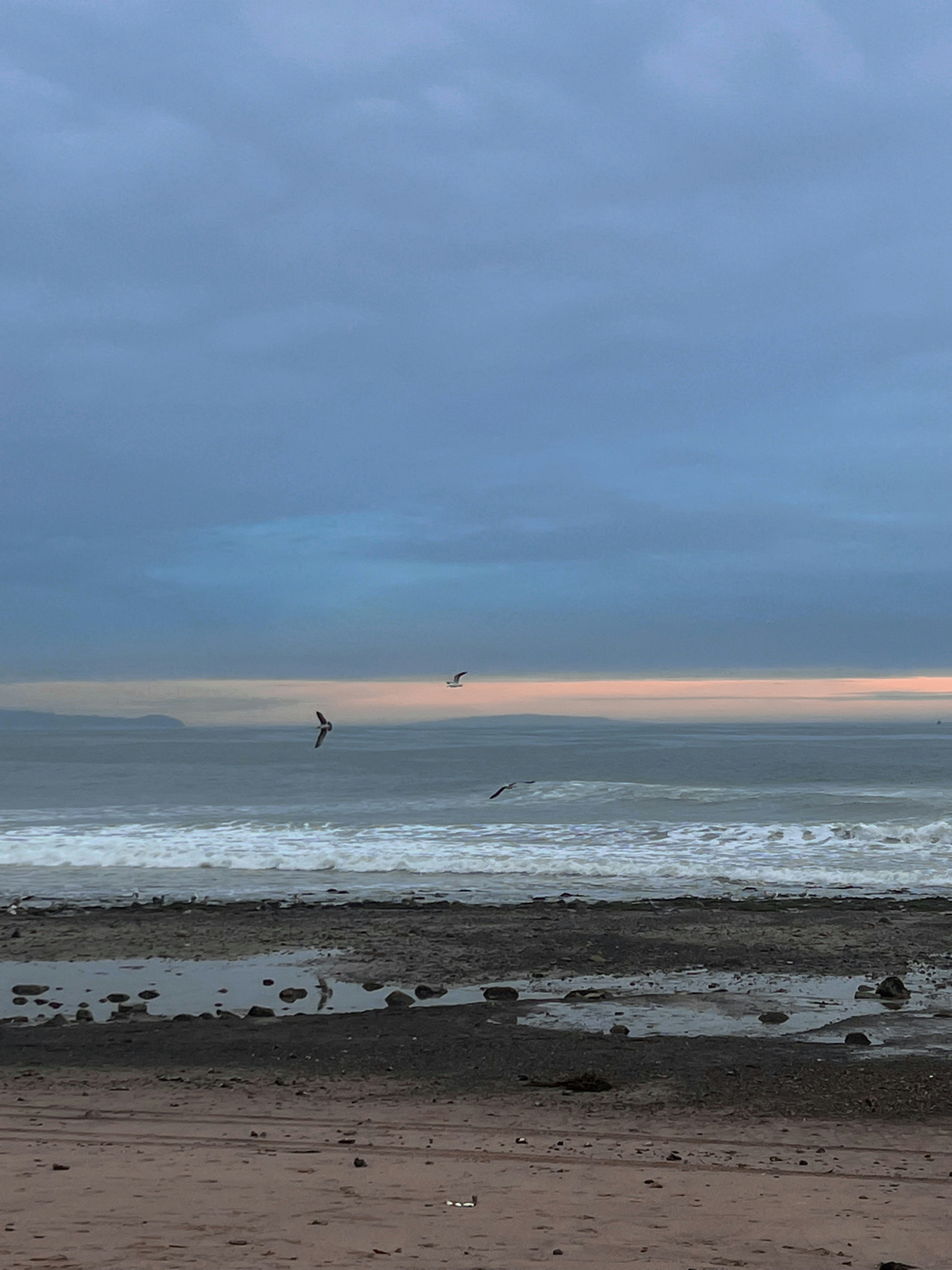 a couple of birds flying over the ocean