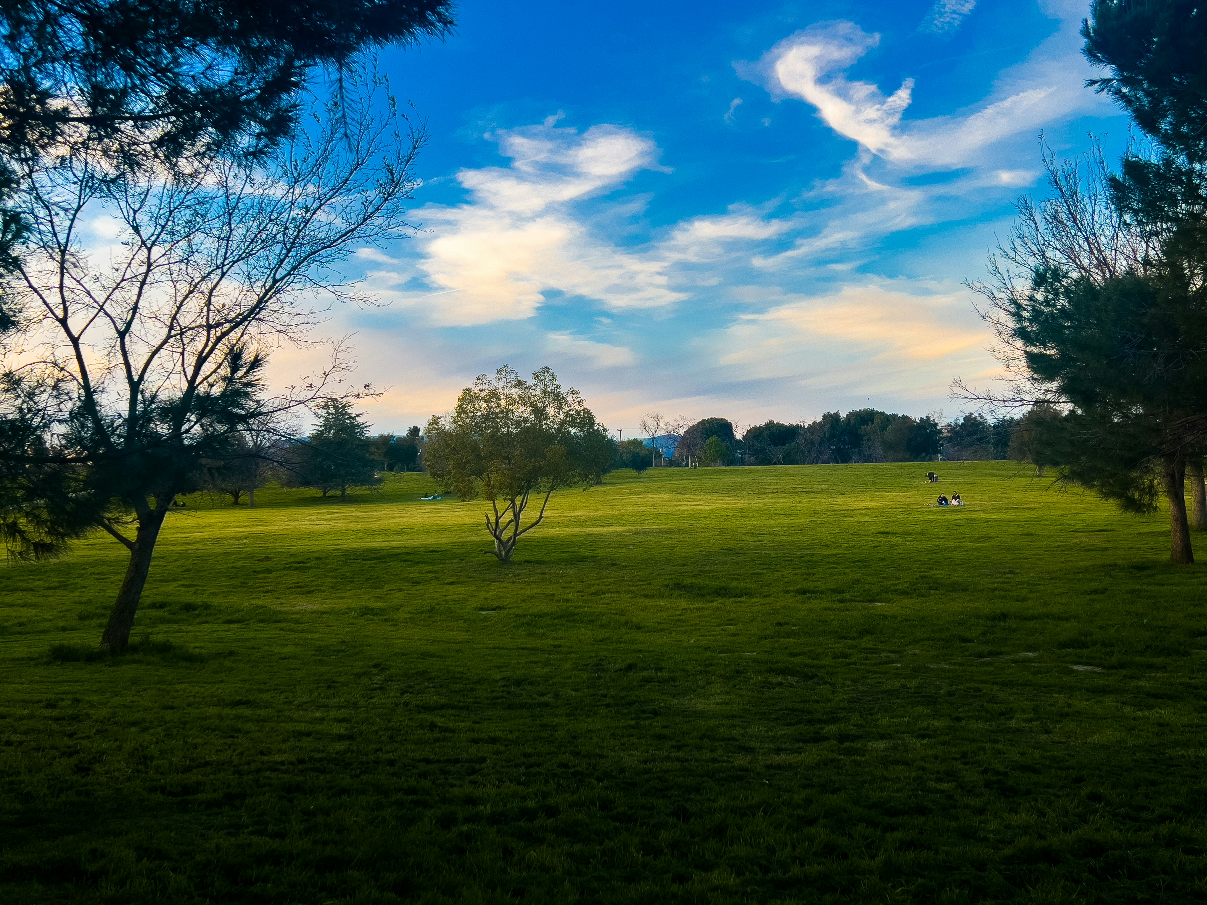 Photo by justinaudia