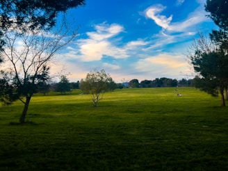 Smiling participants enjoying a moment of relaxation in a green meadow under blue skies.
