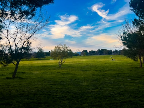 Smiling participants enjoying a moment of relaxation in a green meadow under blue skies.