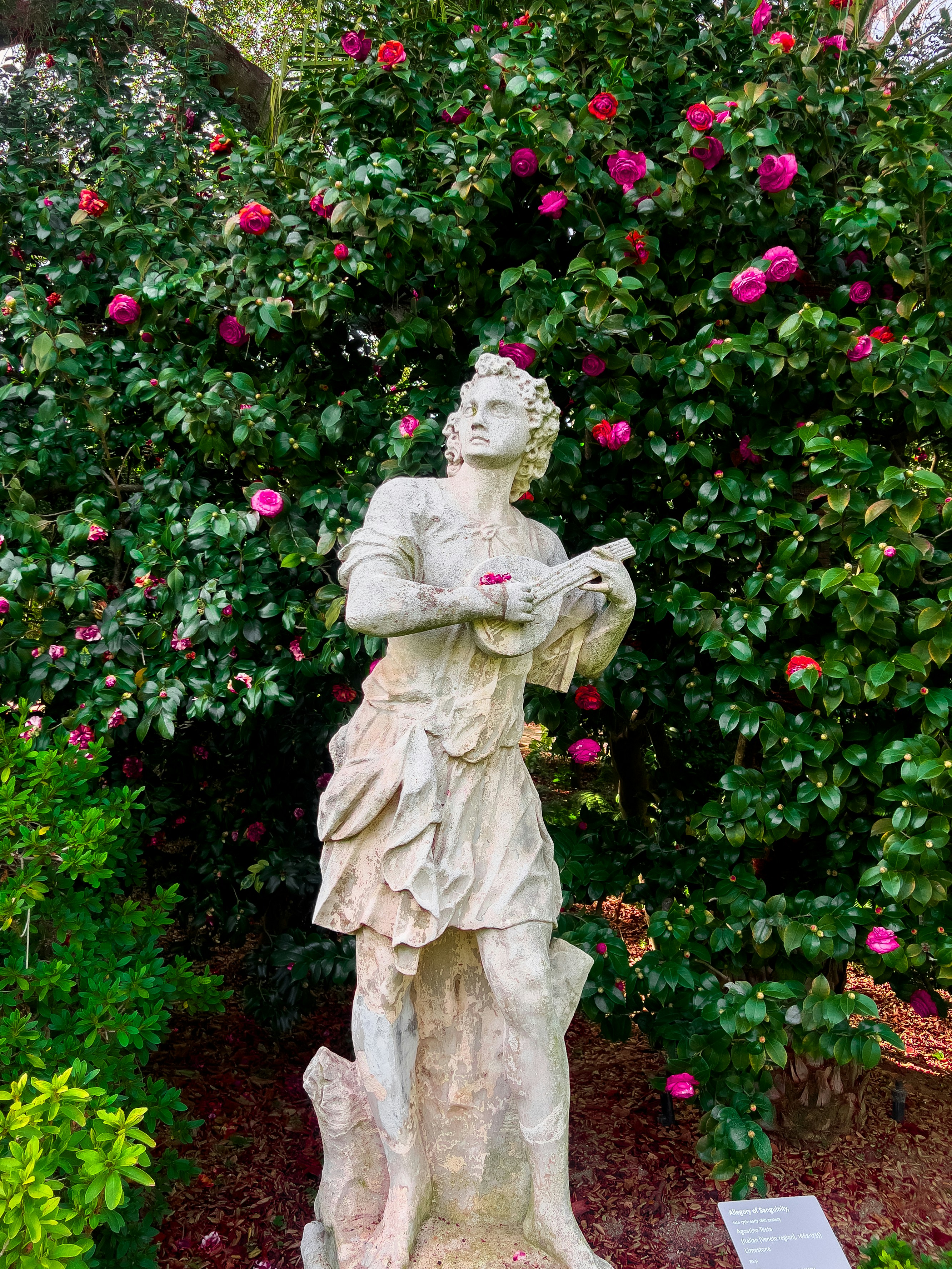 San Marino – Safety, Health & Local Etiquette